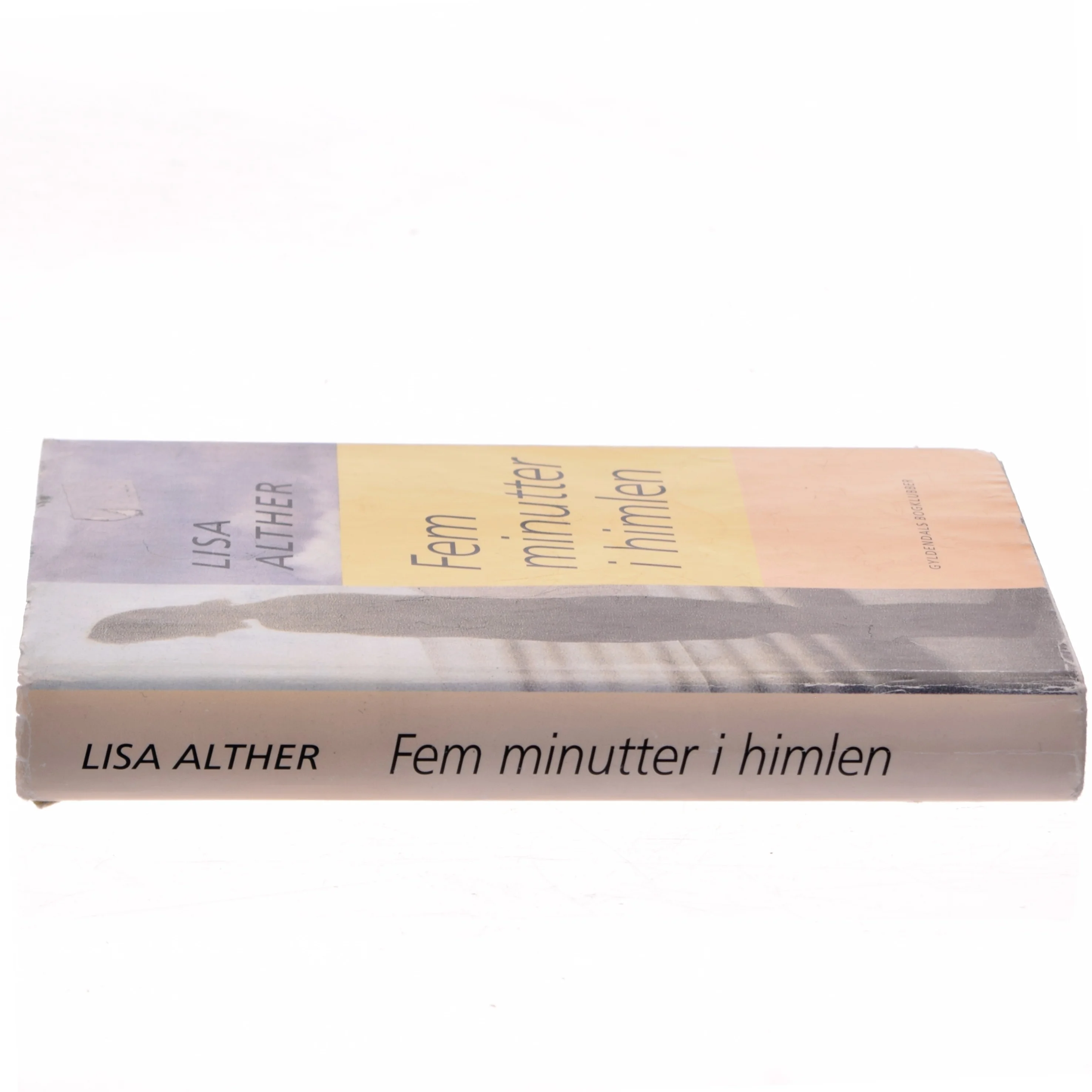 Fem minutter i himlen af Lisa Alther (Bog)