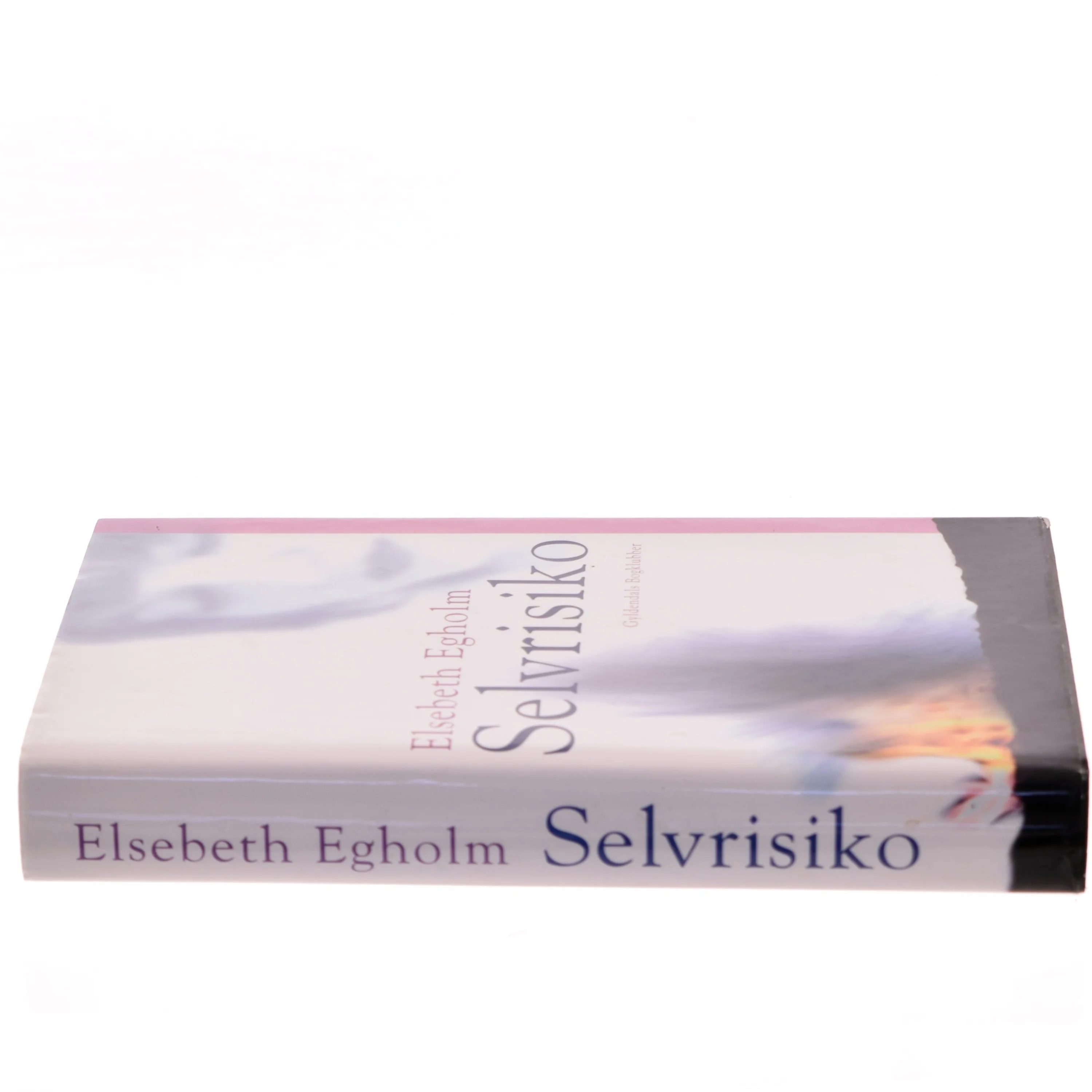 Selvrisiko af Elsebeth Egholm (Bog)