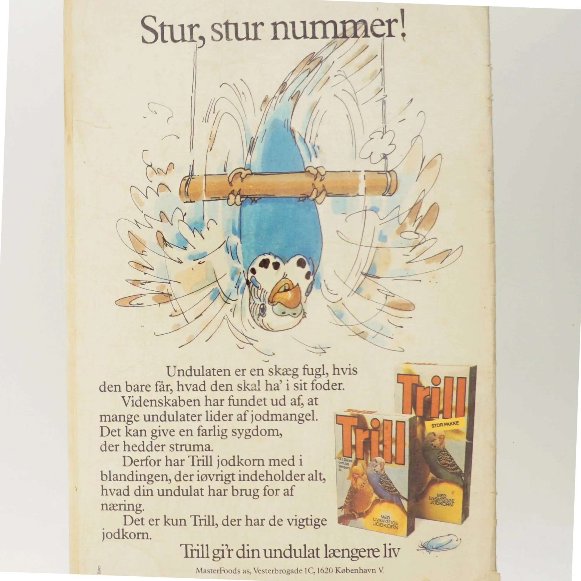 Anders And & Co. af Ukendt (Bog)