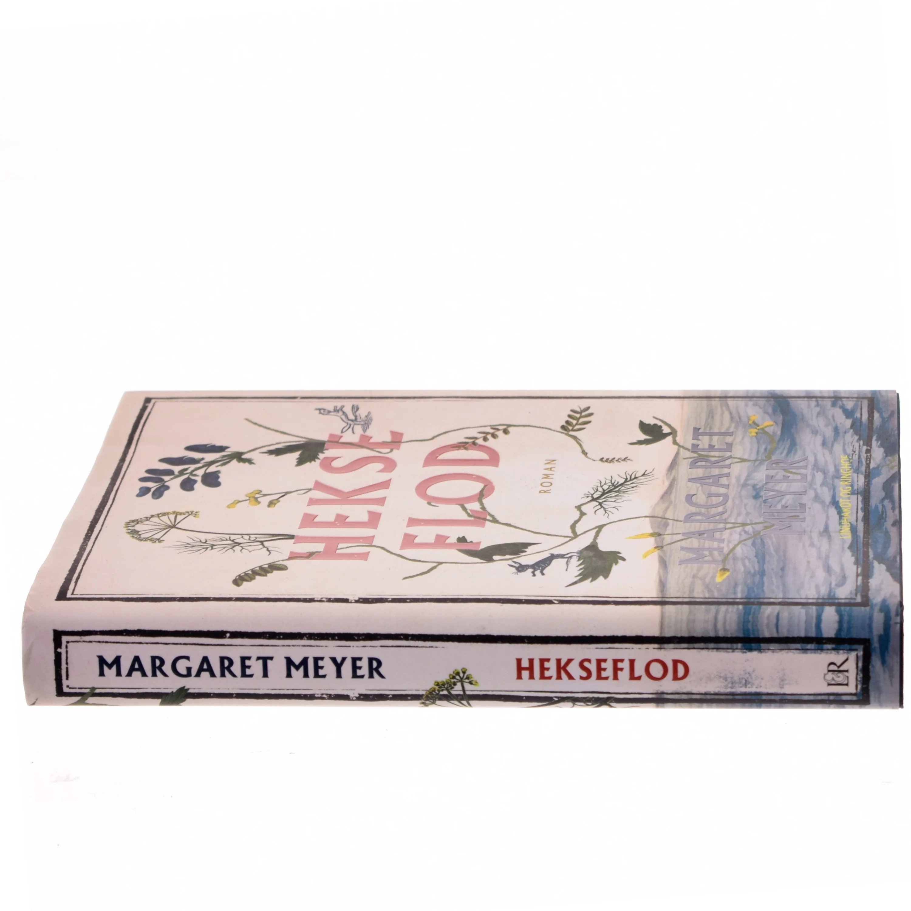 Hekseflod af Margaret Meyer (Bog)