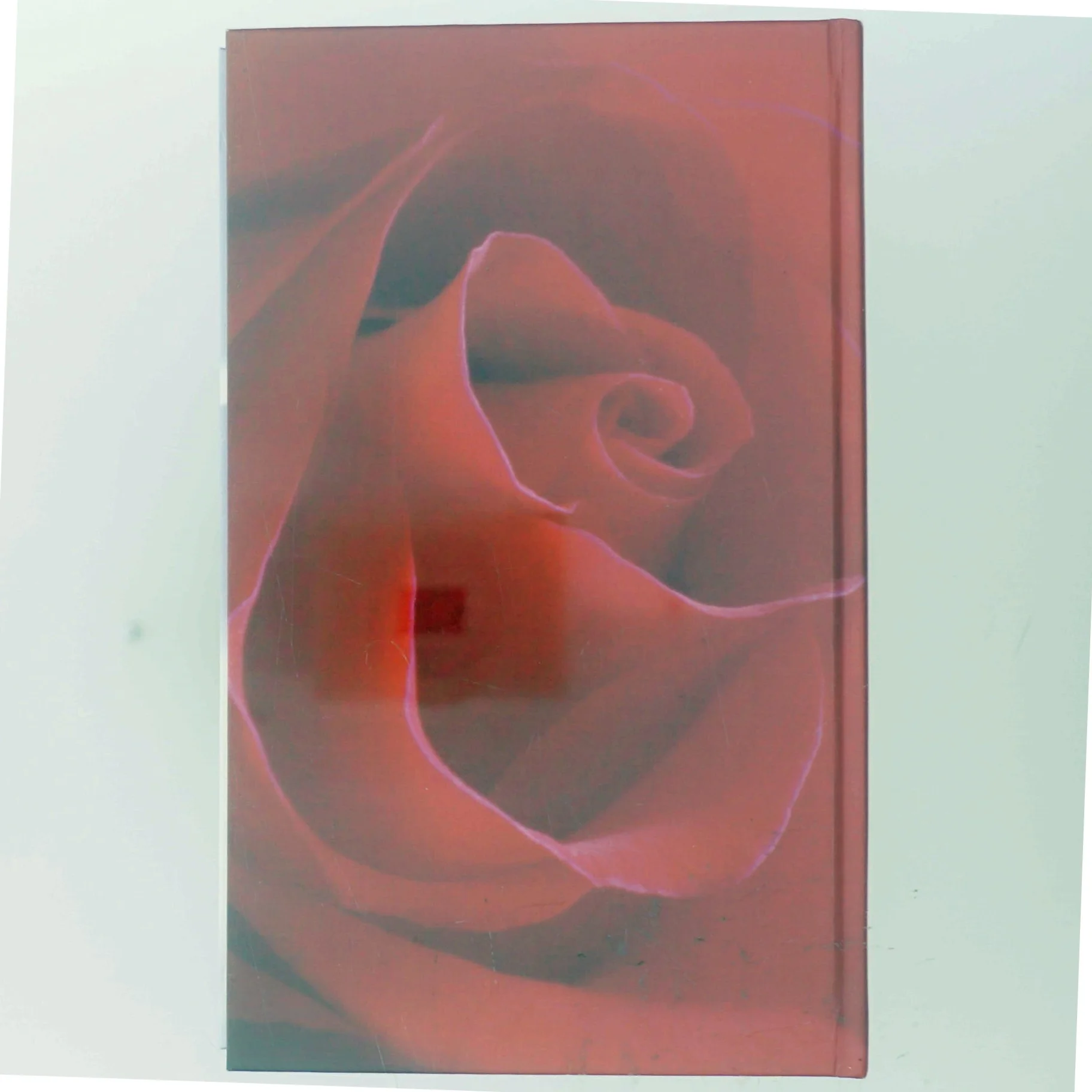 Bog 'Den grønne port' af Jane Aamund