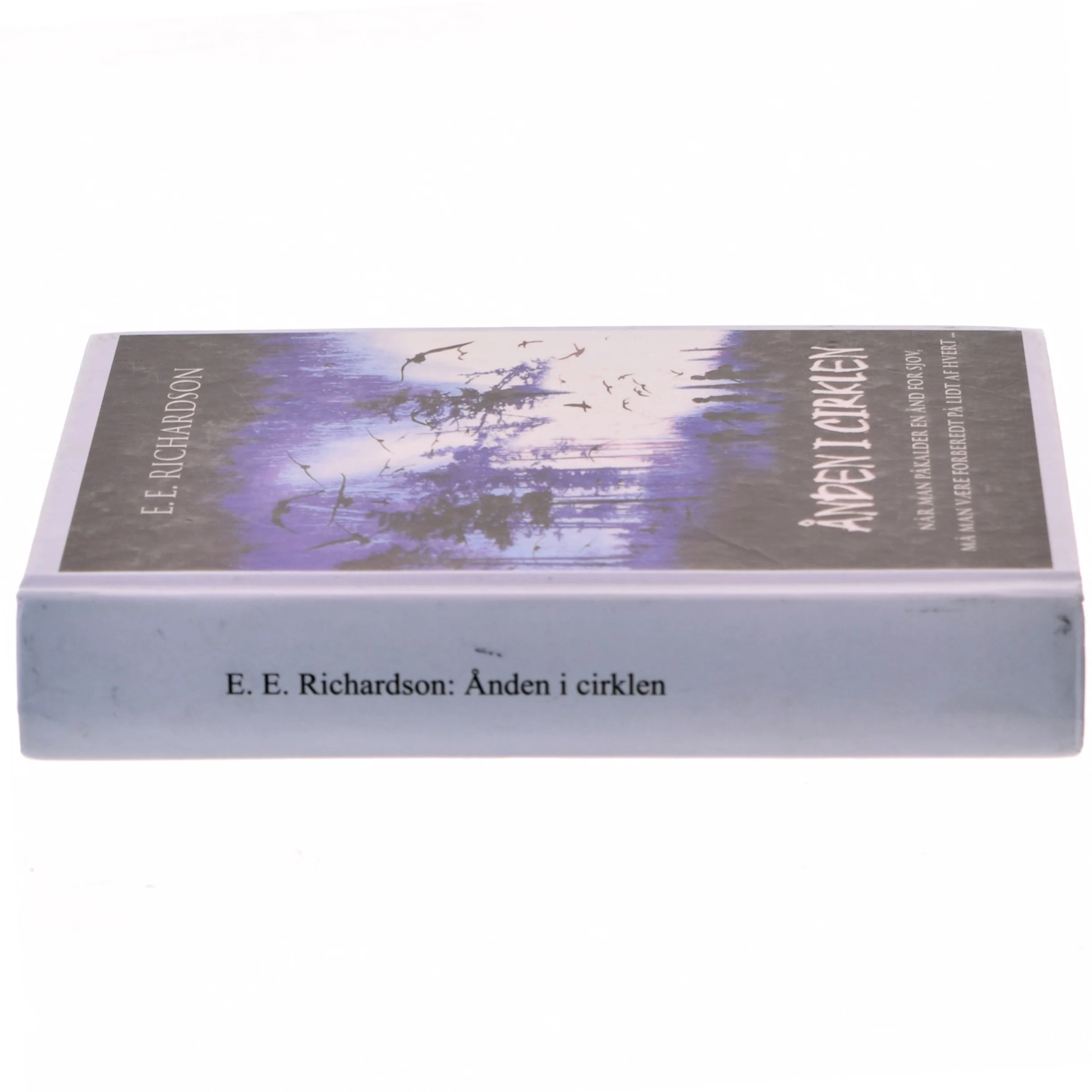 Ånden i Cirklen af E. E. Richardson (Bog)