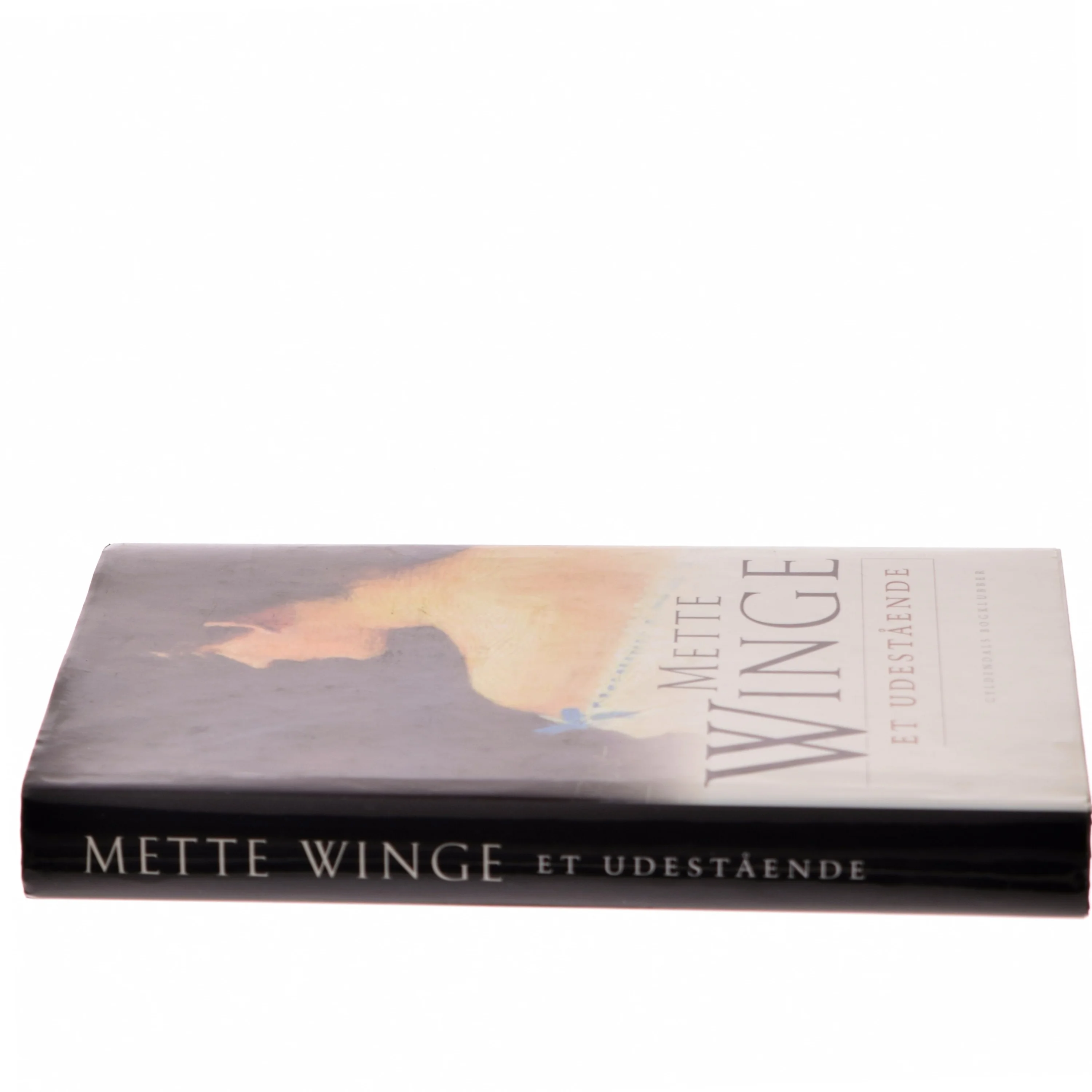 Et udestående af Mette Winge (Bog)