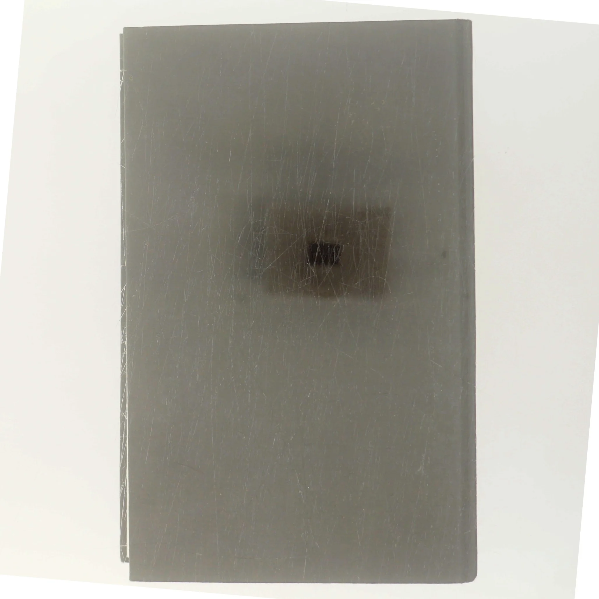 Den ukendte hustru af Leif Davidsen (Bog)