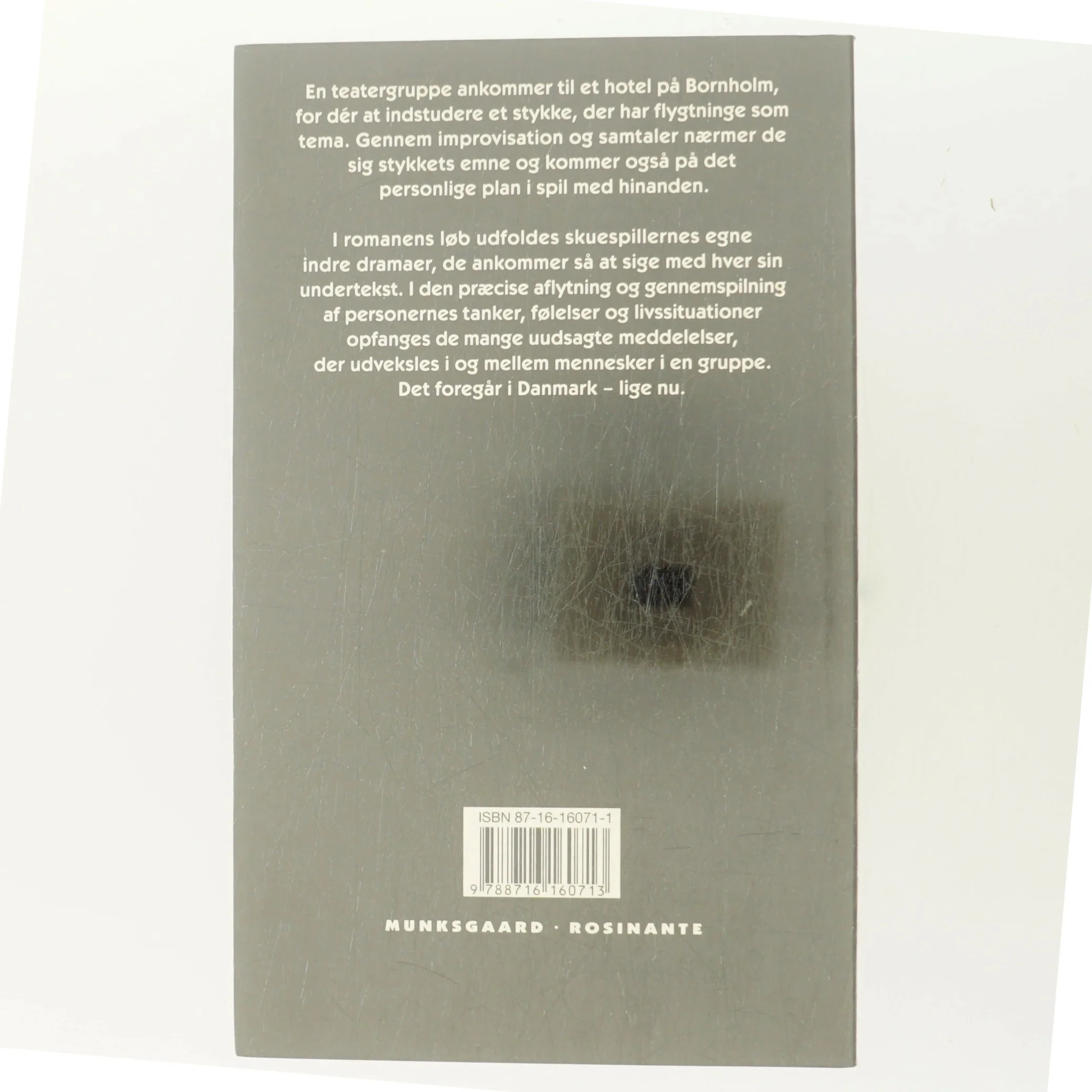 Jorden er nær : roman af Jette Drewsen (Bog)