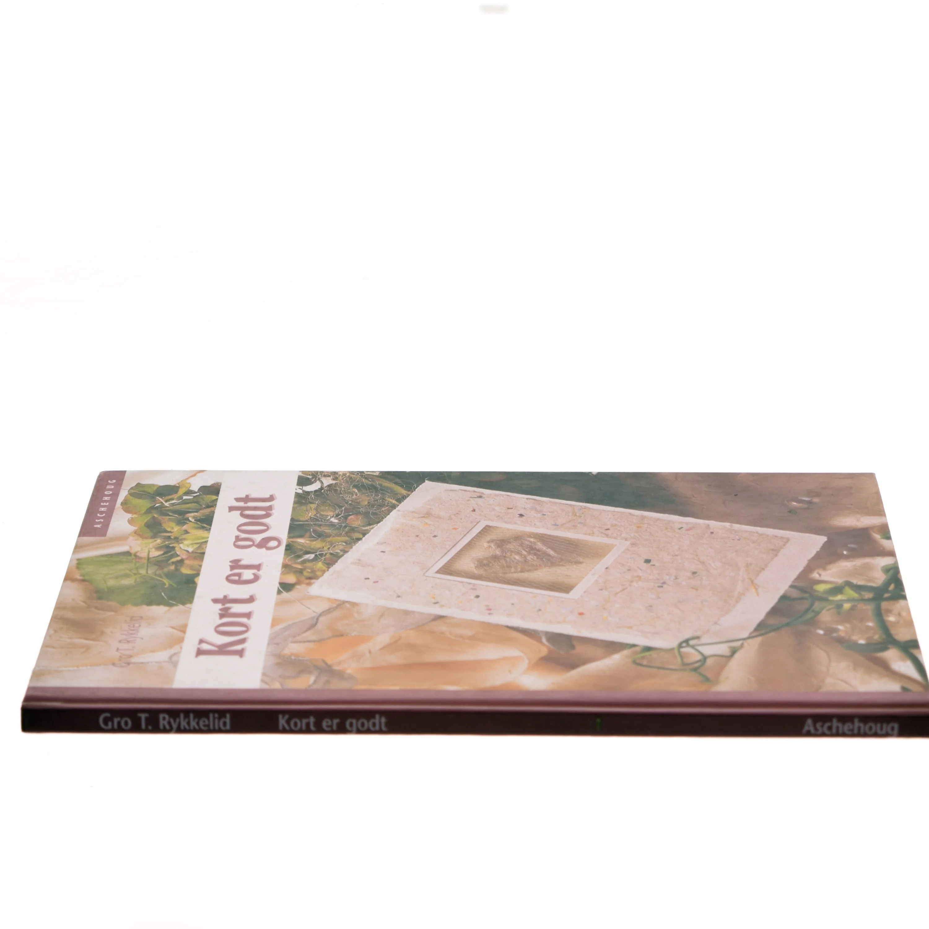 Kort er godt af Gro T. Rykkelid (Bog)