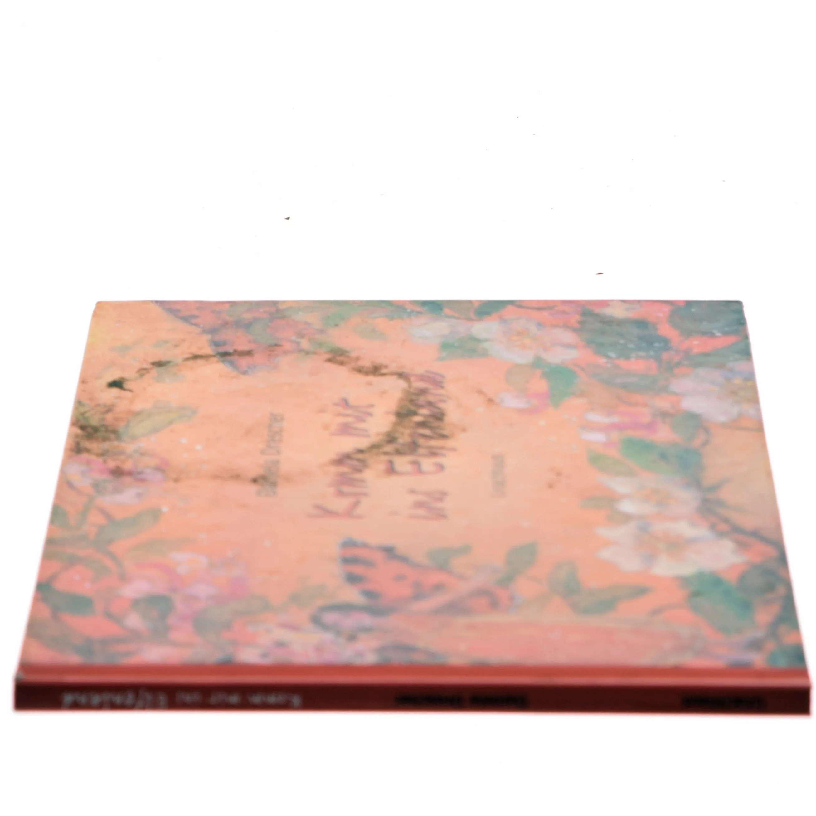 Komm mit ins Elfenland af Daniela Drescher (Bog)