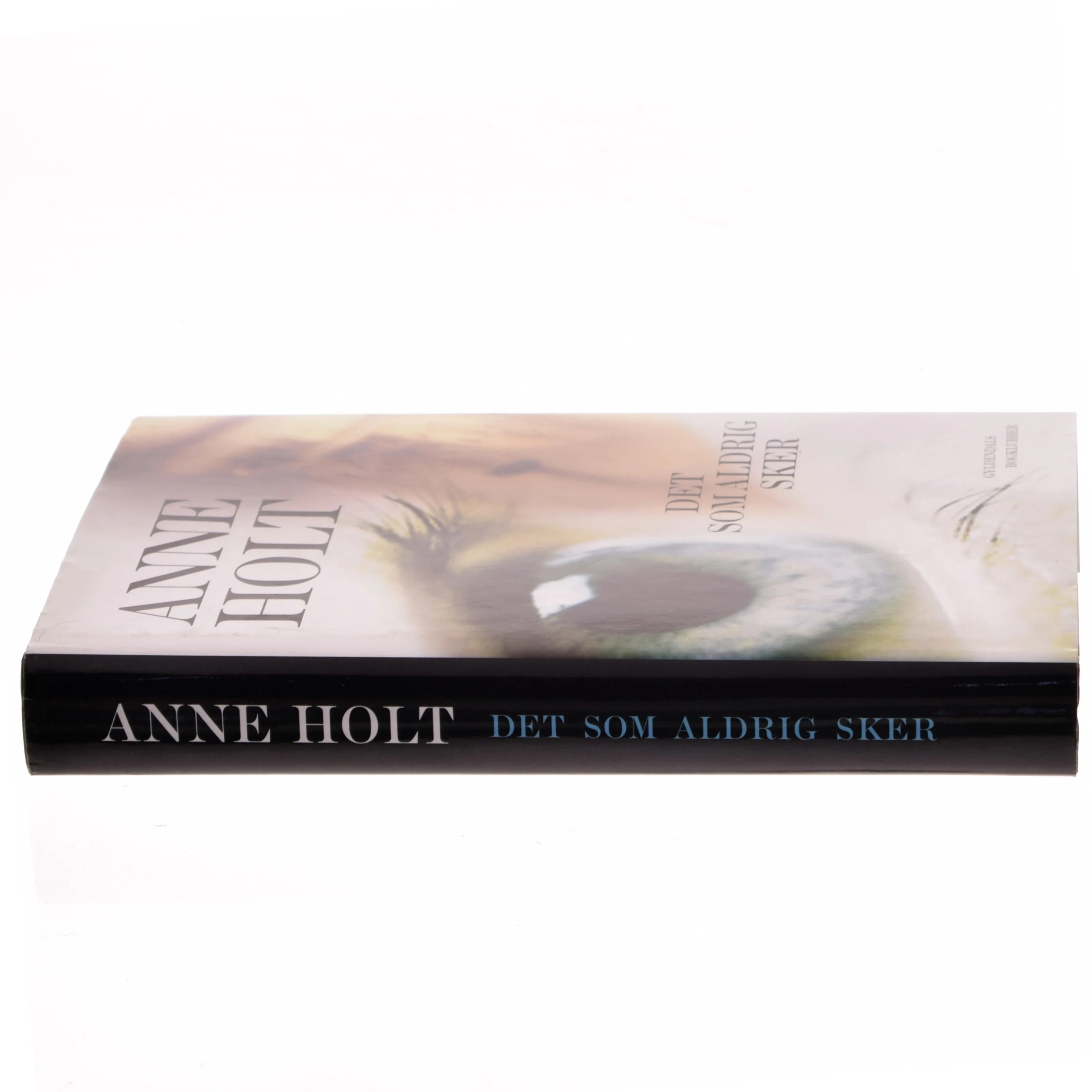 Det som aldrig sker af Anne Holt (f. 1958-11-16) (Bog)