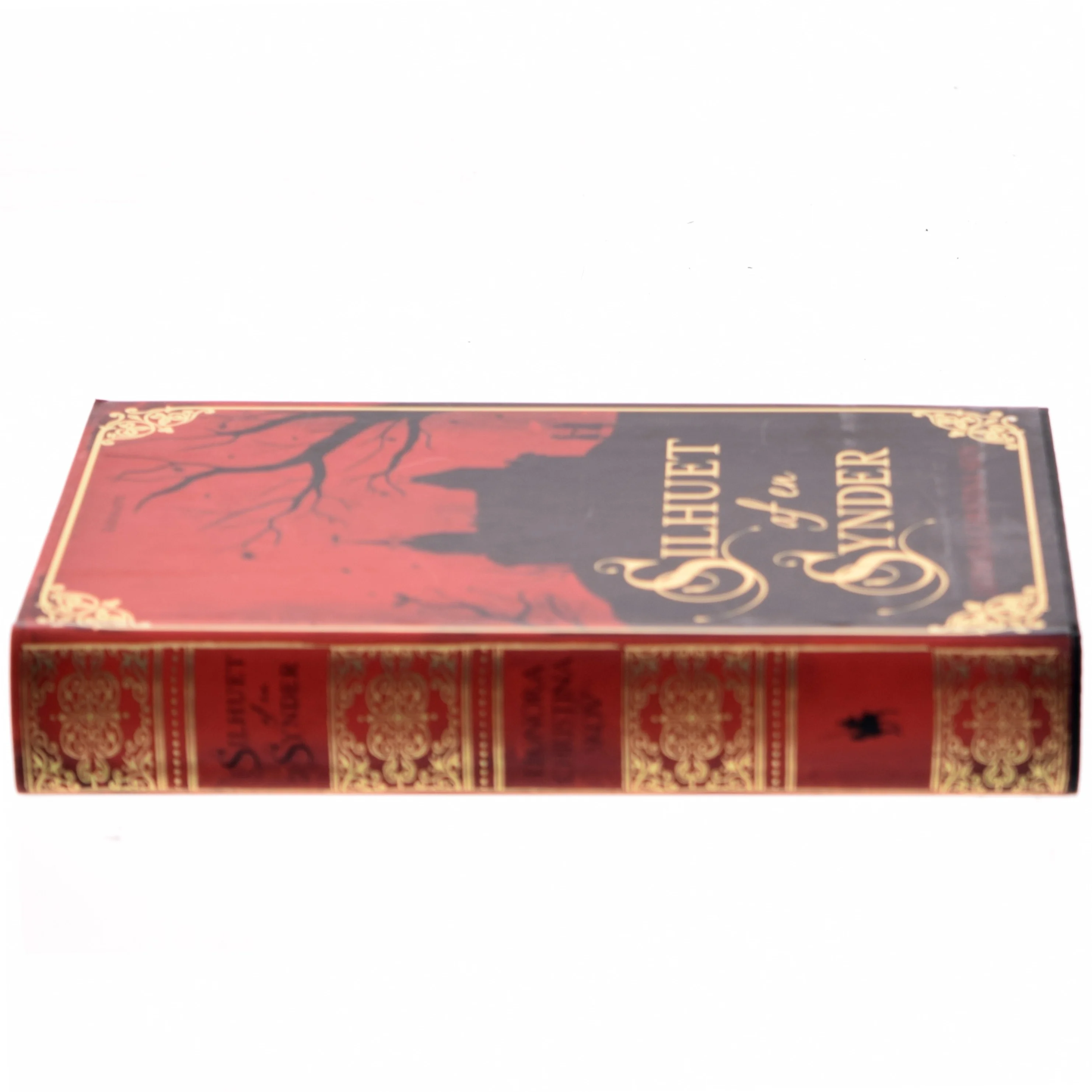 Silhuet af en synder : roman af Leonora Christina Skov (Bog)