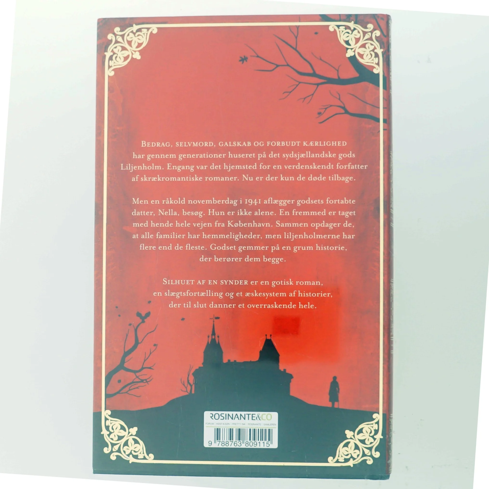 Silhuet af en synder : roman af Leonora Christina Skov (Bog)