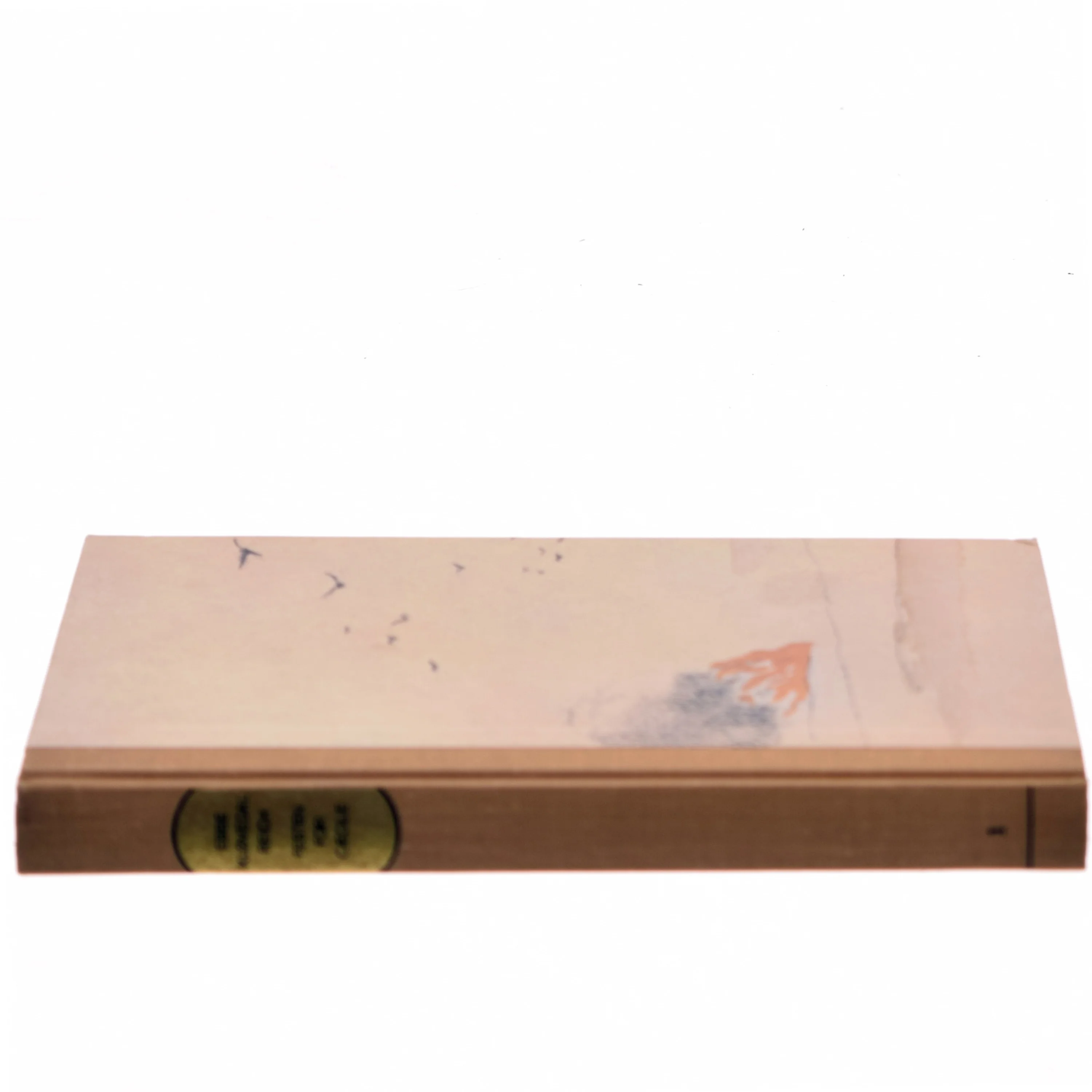 The Sketch Book of Geoffrey Crayon (Bog)