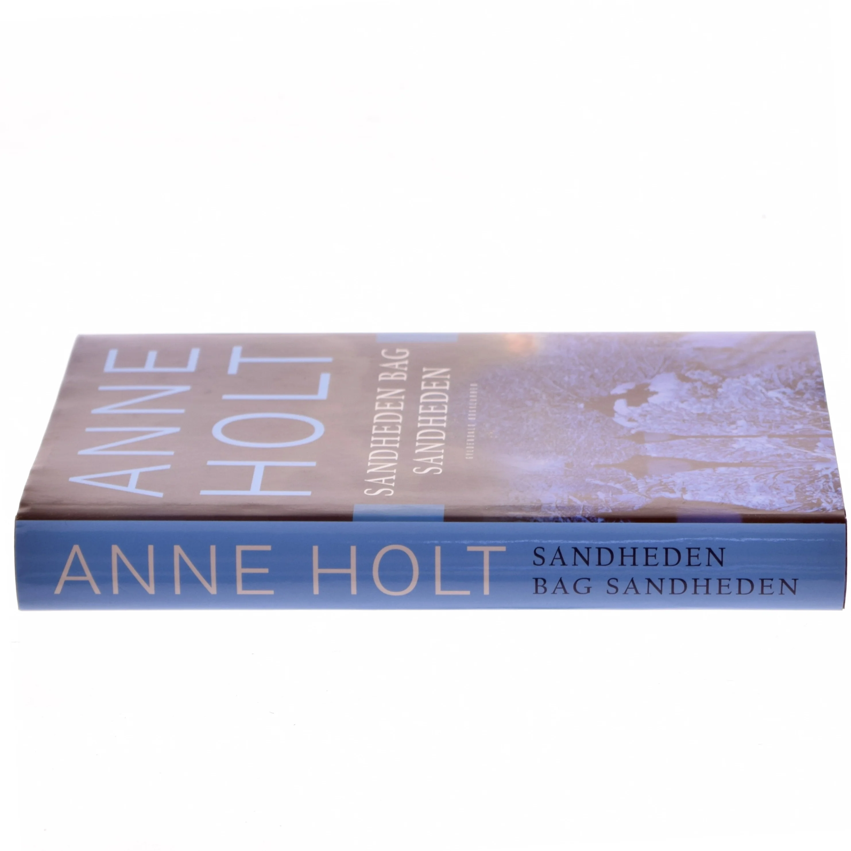Sandheden bag sandheden : en Hanne Wilhelmsen-roman af Anne Holt (f. 1958-11-16) (Bog)