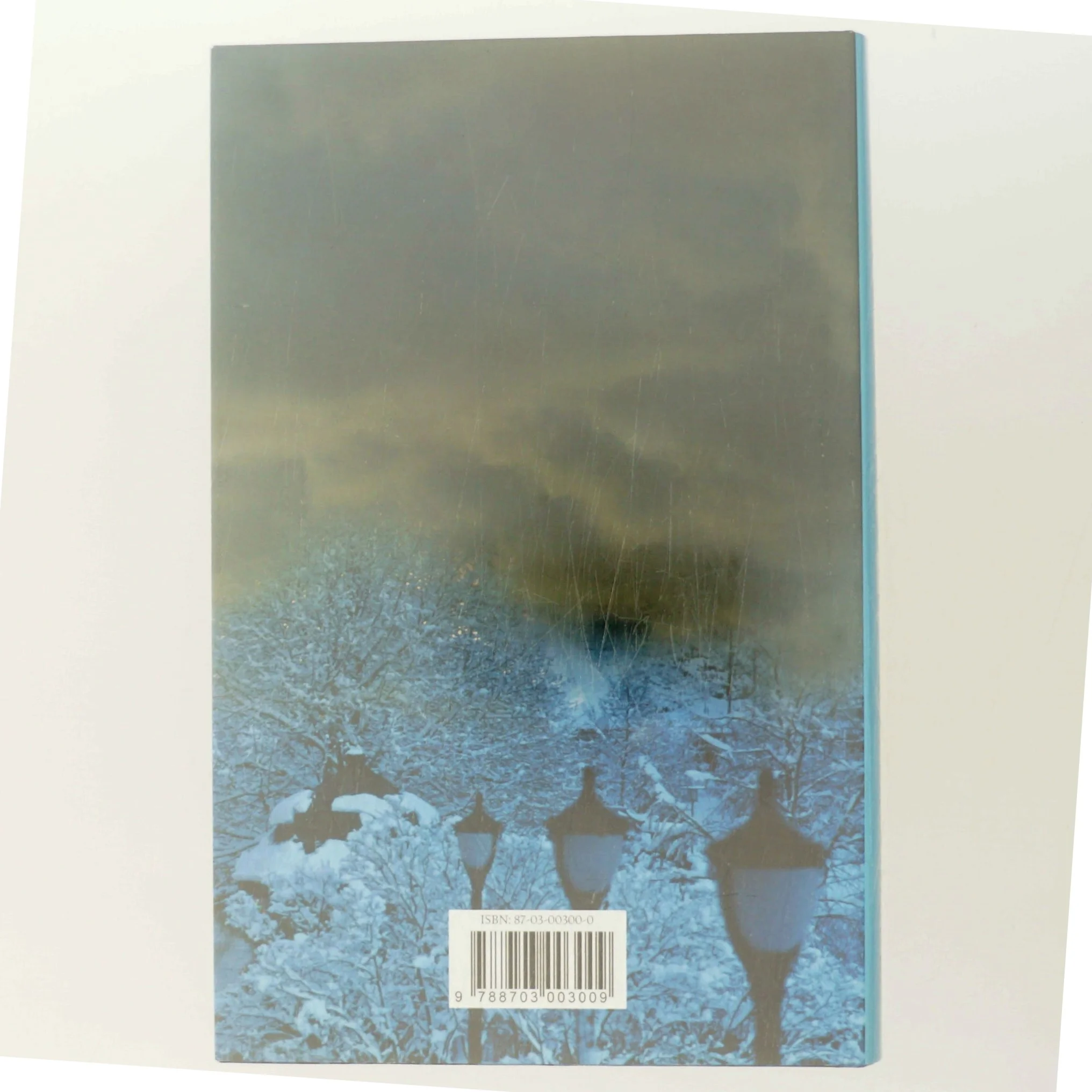 Sandheden bag sandheden : en Hanne Wilhelmsen-roman af Anne Holt (f. 1958-11-16) (Bog)