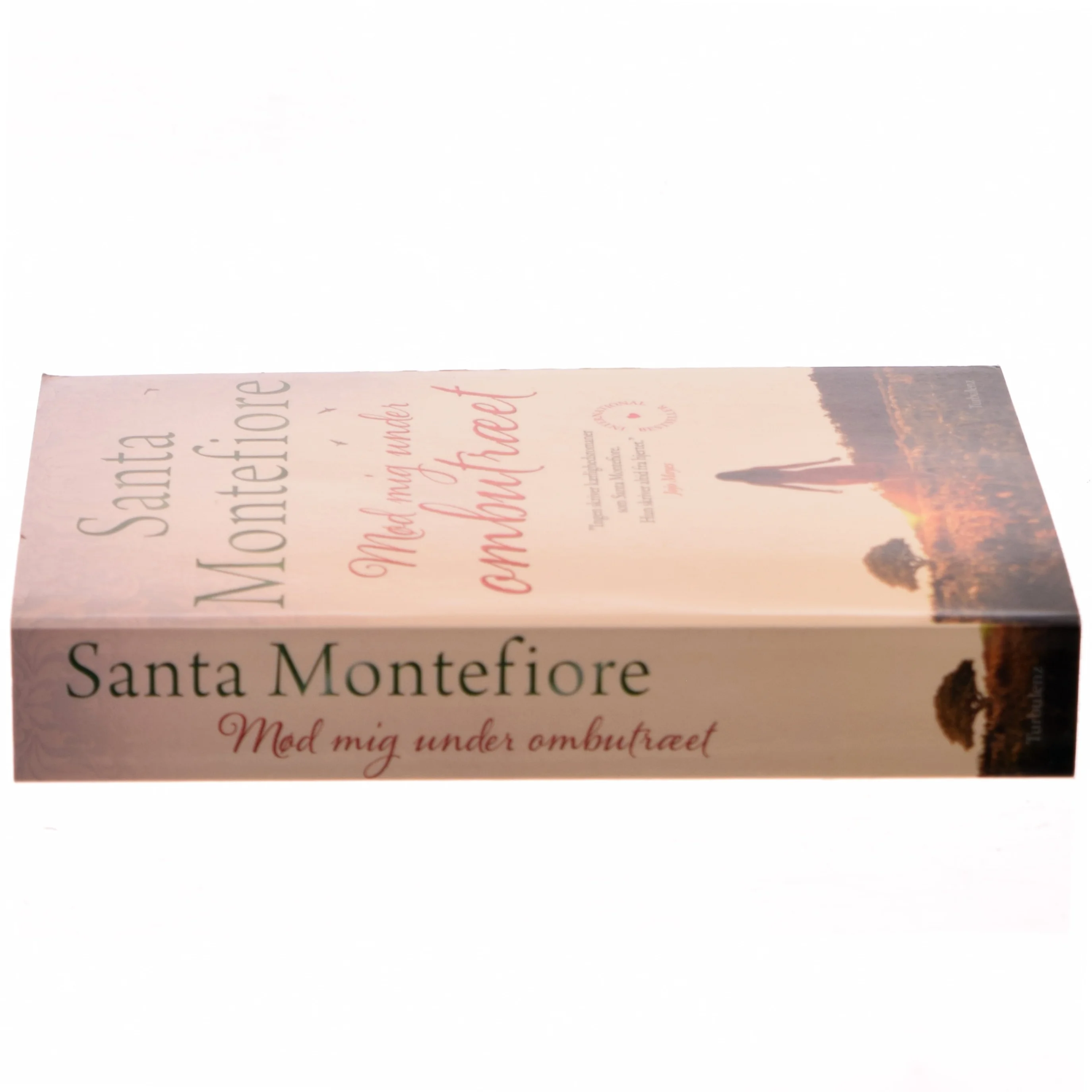 Mød mig under ombutræet af Santa Montefiore (Bog)