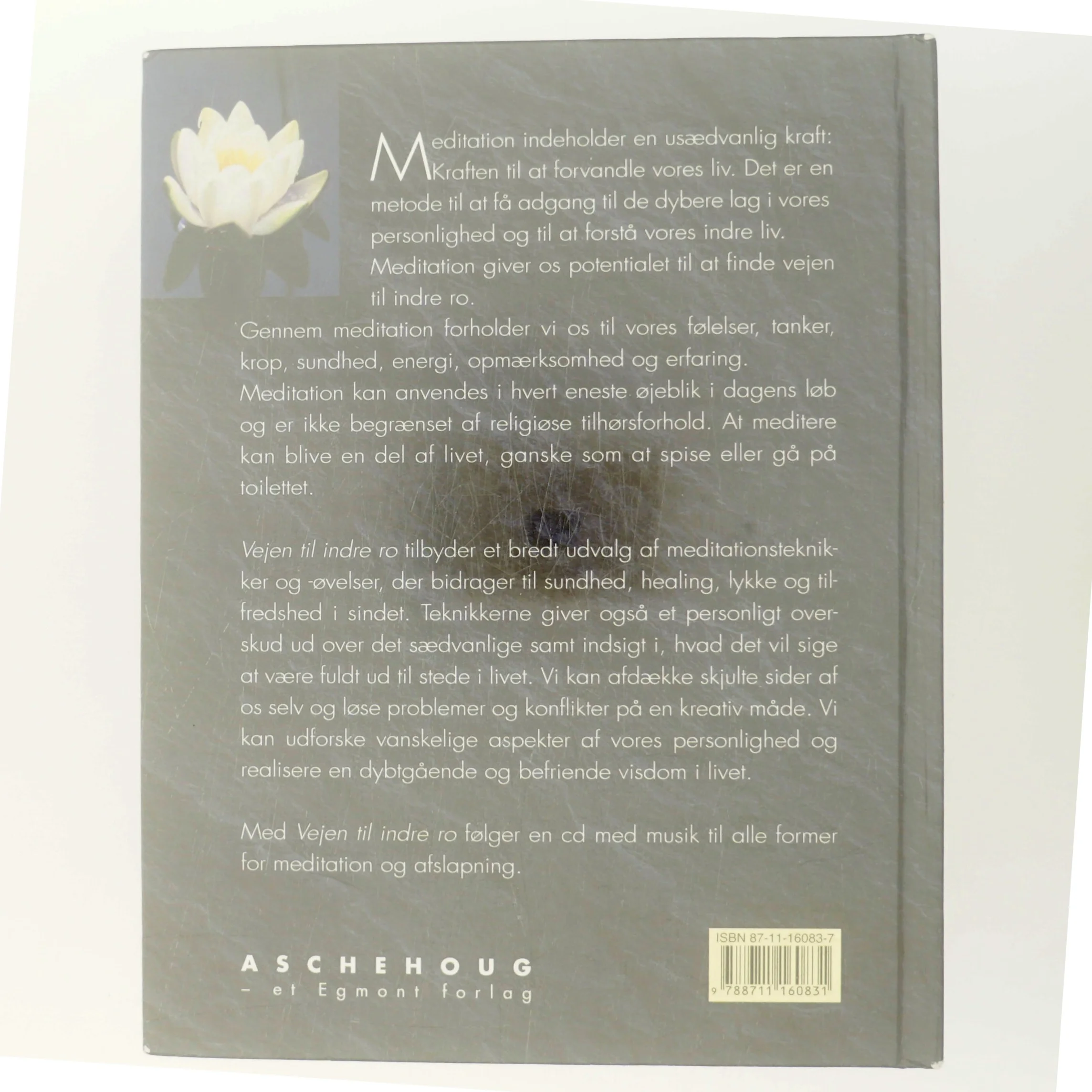 Vejen til indre ro : meditation som redskab til kreativ problemløsning, fokusering og afspænding af Christopher Titmuss (Bog)