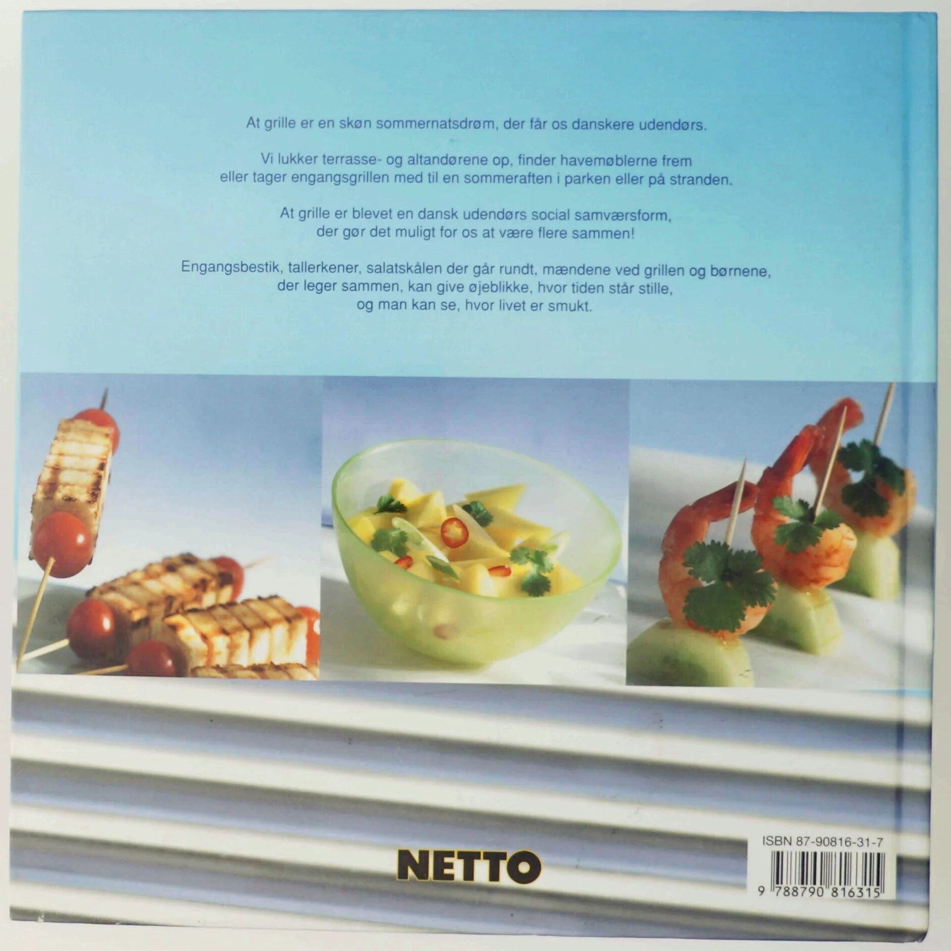 Grill under åben himmel (Bog)