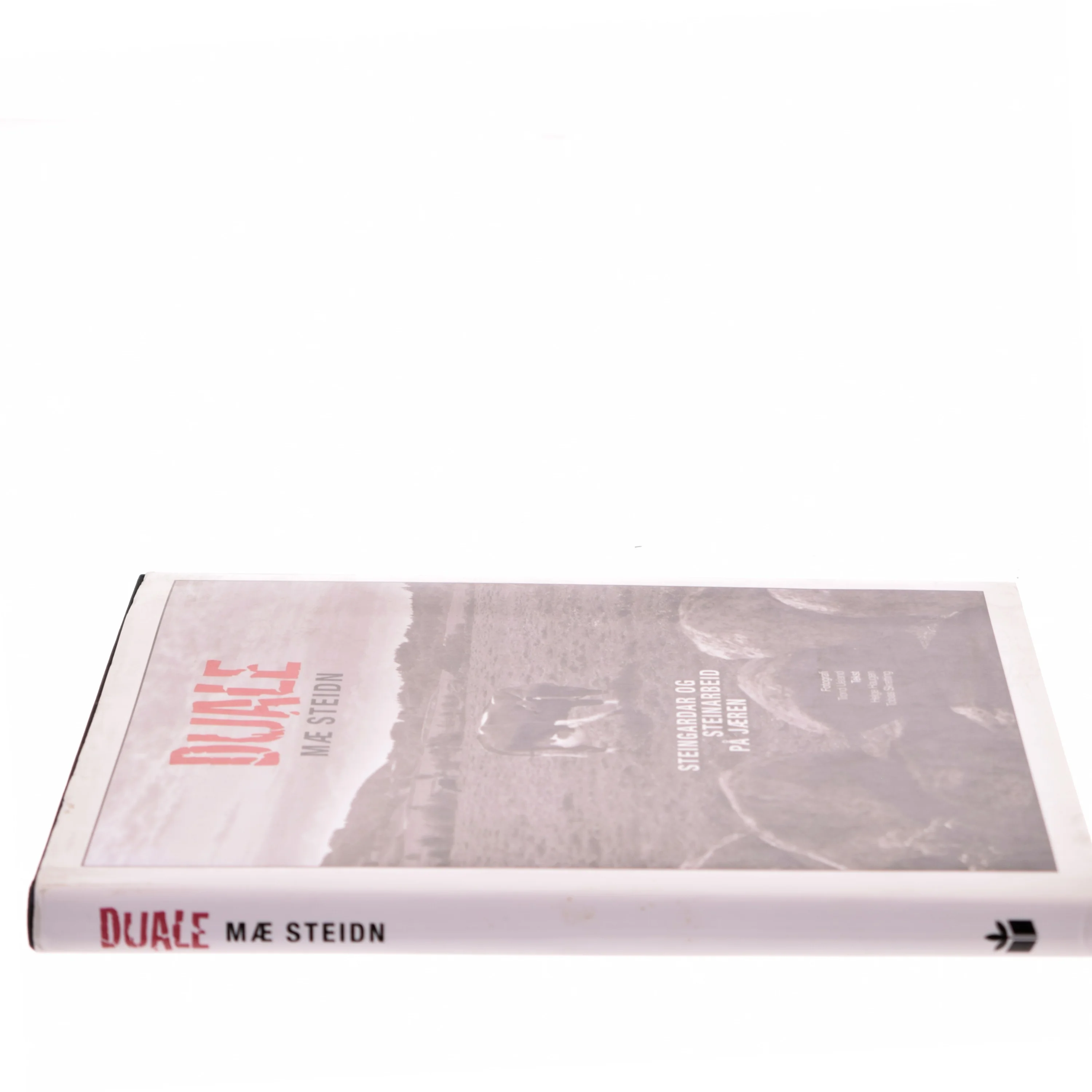 Duale mæ Steidn af Helge Haugen (Bog)