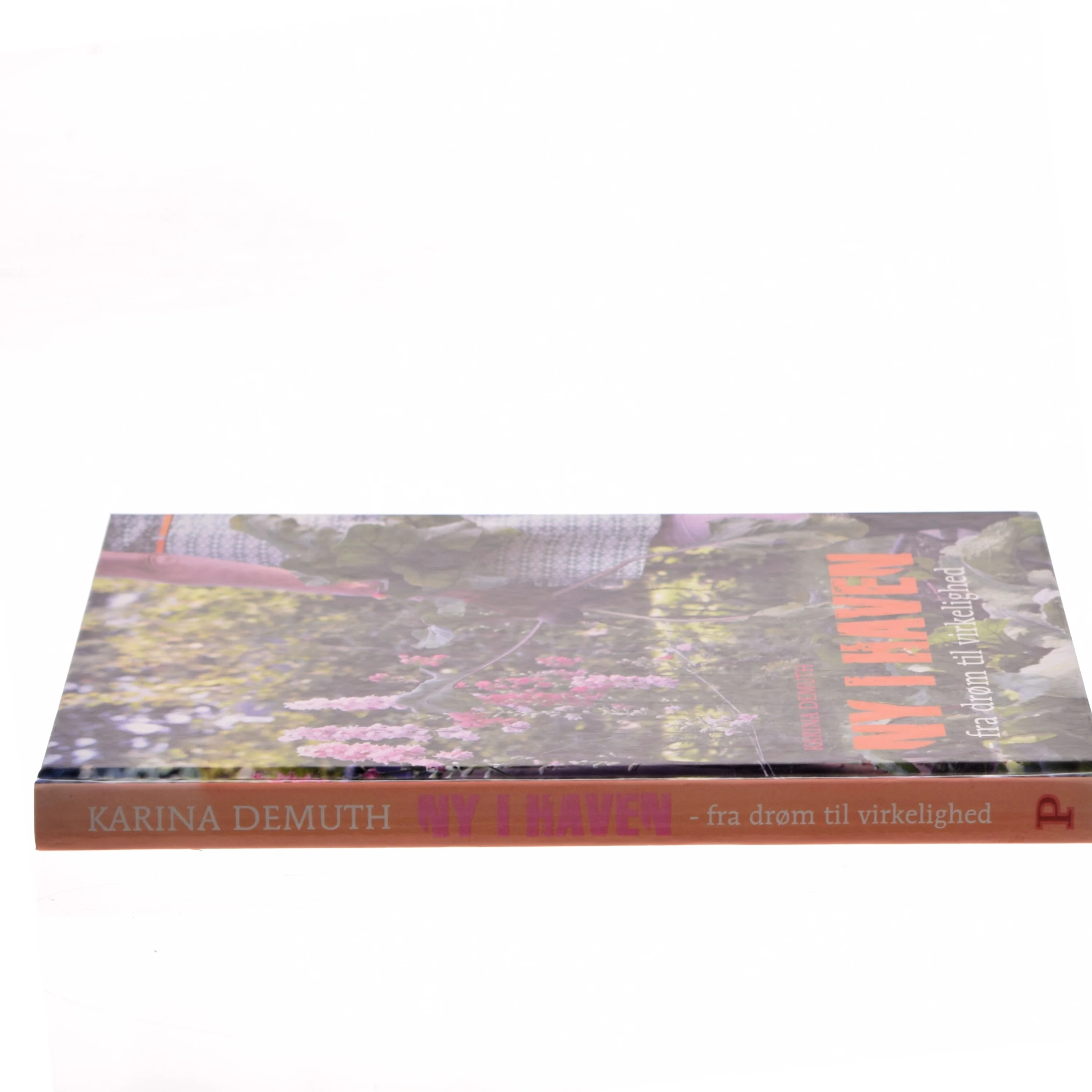 Ny i Haven: fra drøm til virkelighed af Karina Demuth (Bog)