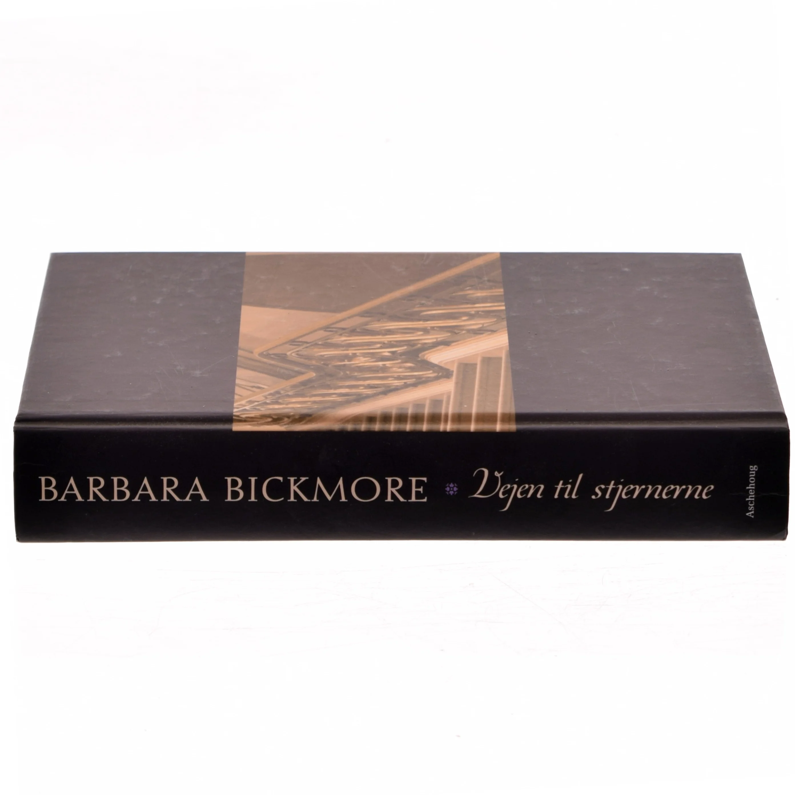 Vejen til stjernerne af Barbara Bickmore (Bog)