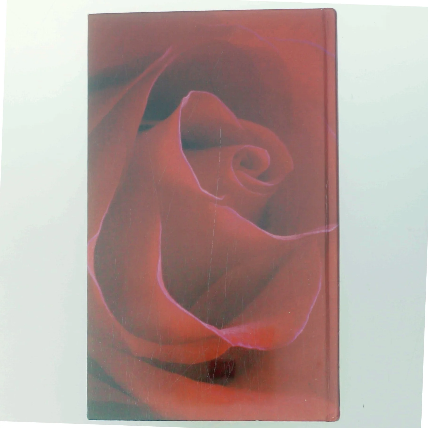 Den grønne port af Jane Aamund (Bog)