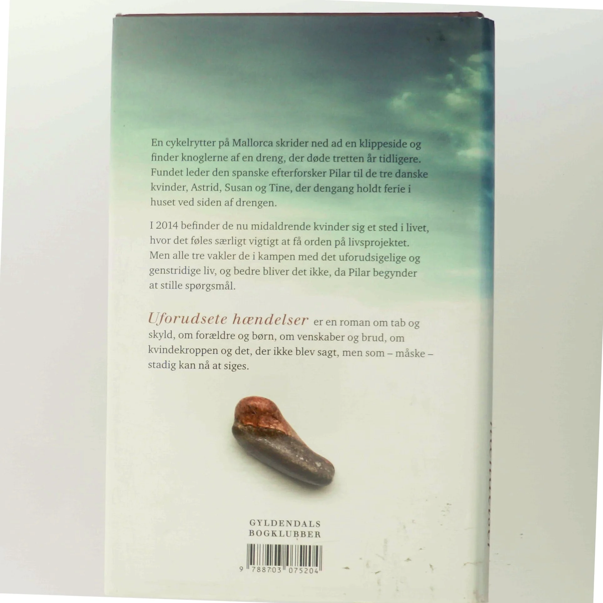 Uforudsete hændelser : roman af Hanne Richardt Beck (Bog)