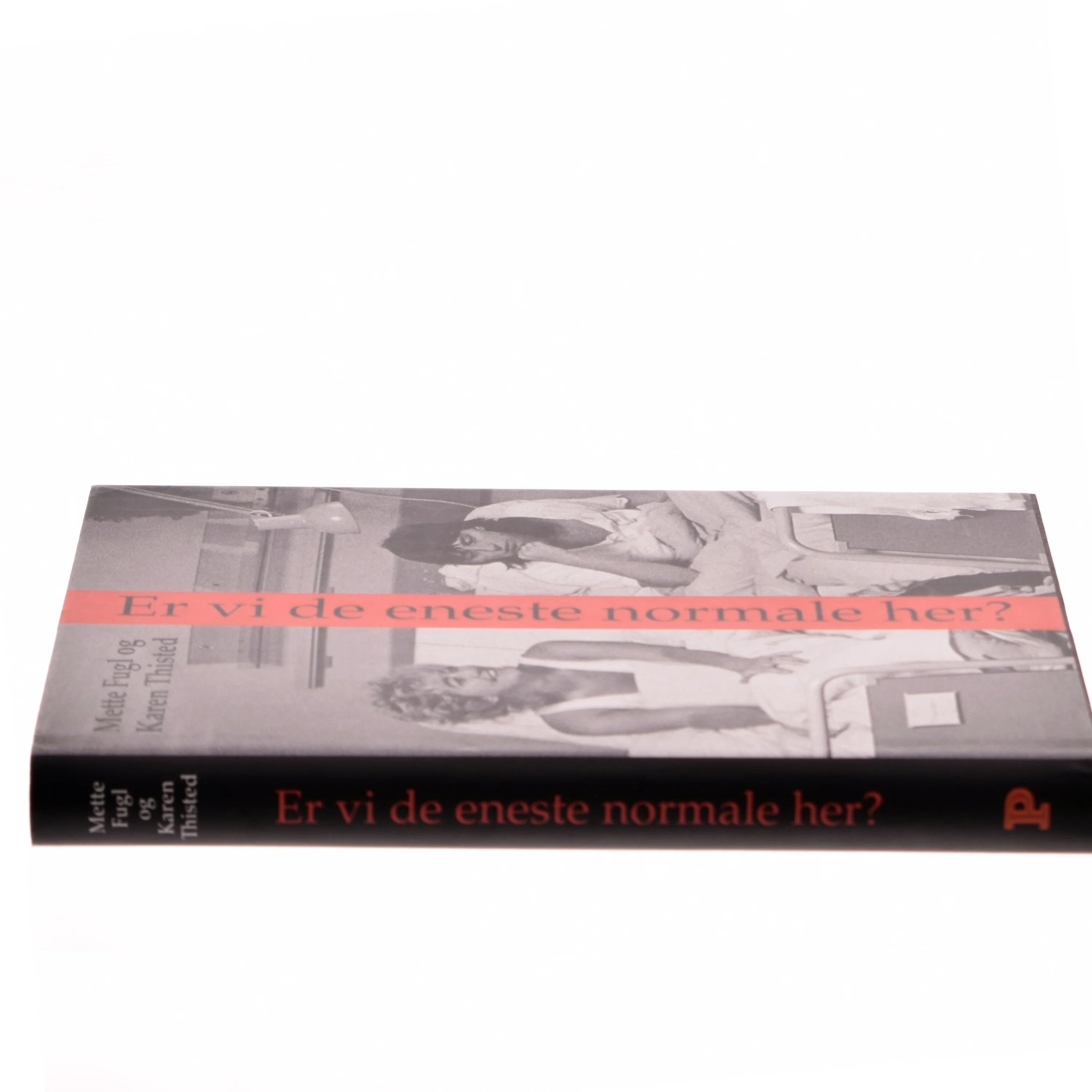 Er vi de eneste normale her? : noter, anekdoter og samtaler om visse erindringer (Bog)