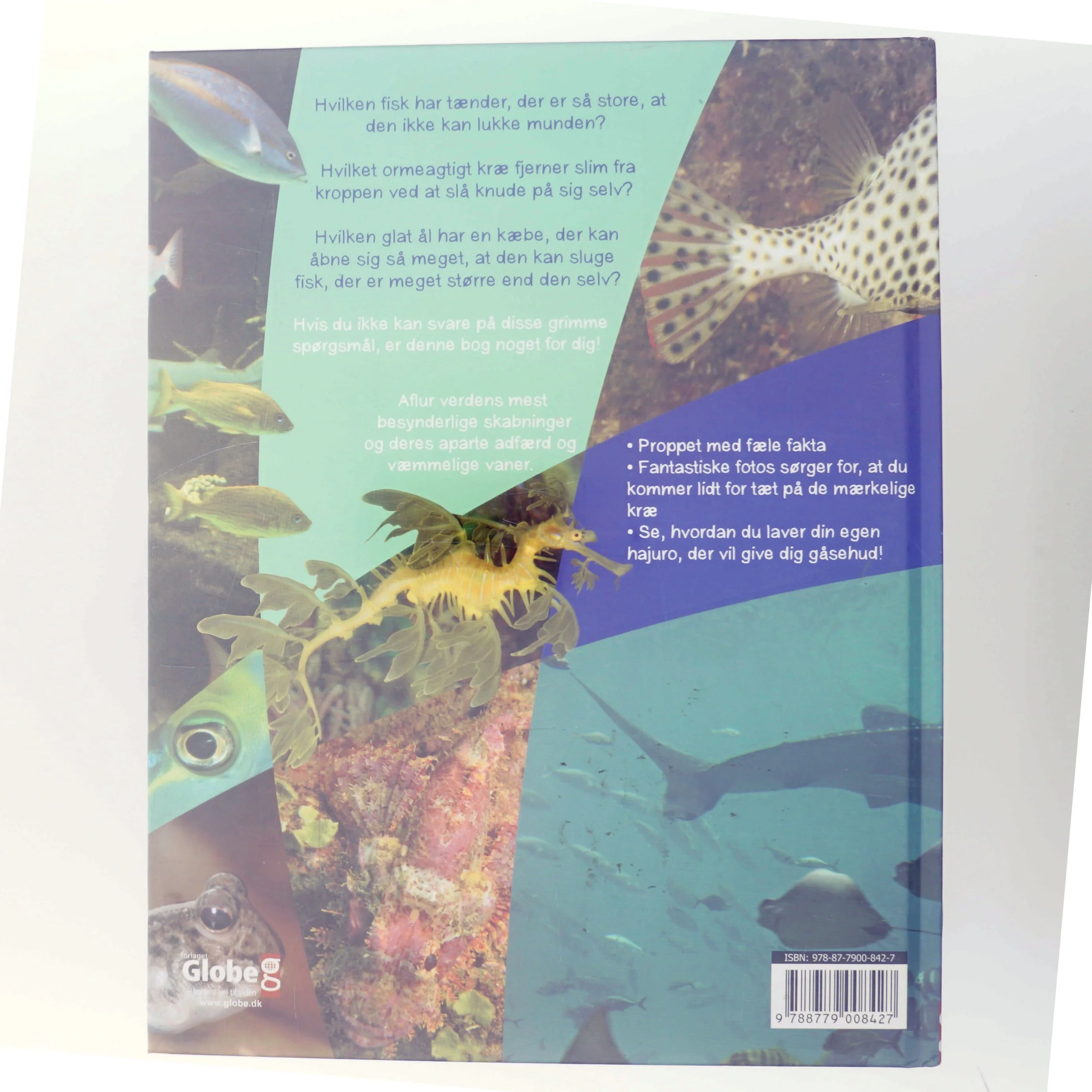 Finurlige fisk af Lynn Huggins-Cooper (Bog)