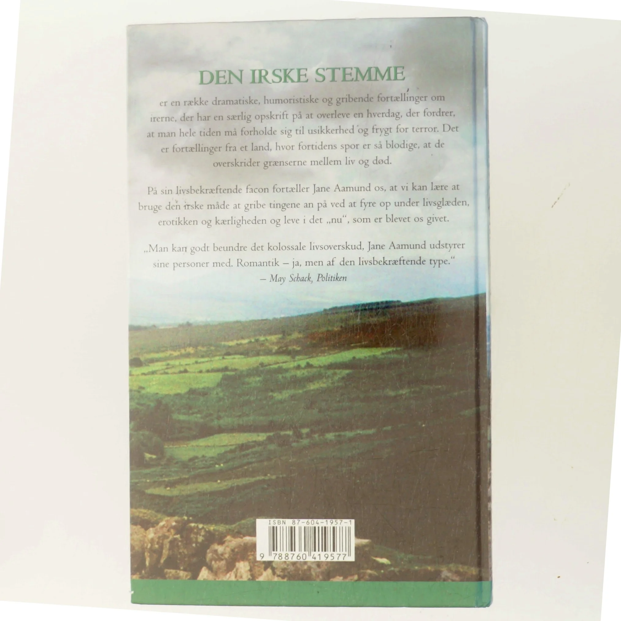 Den irske stemme af Jane Aamund (Bog)