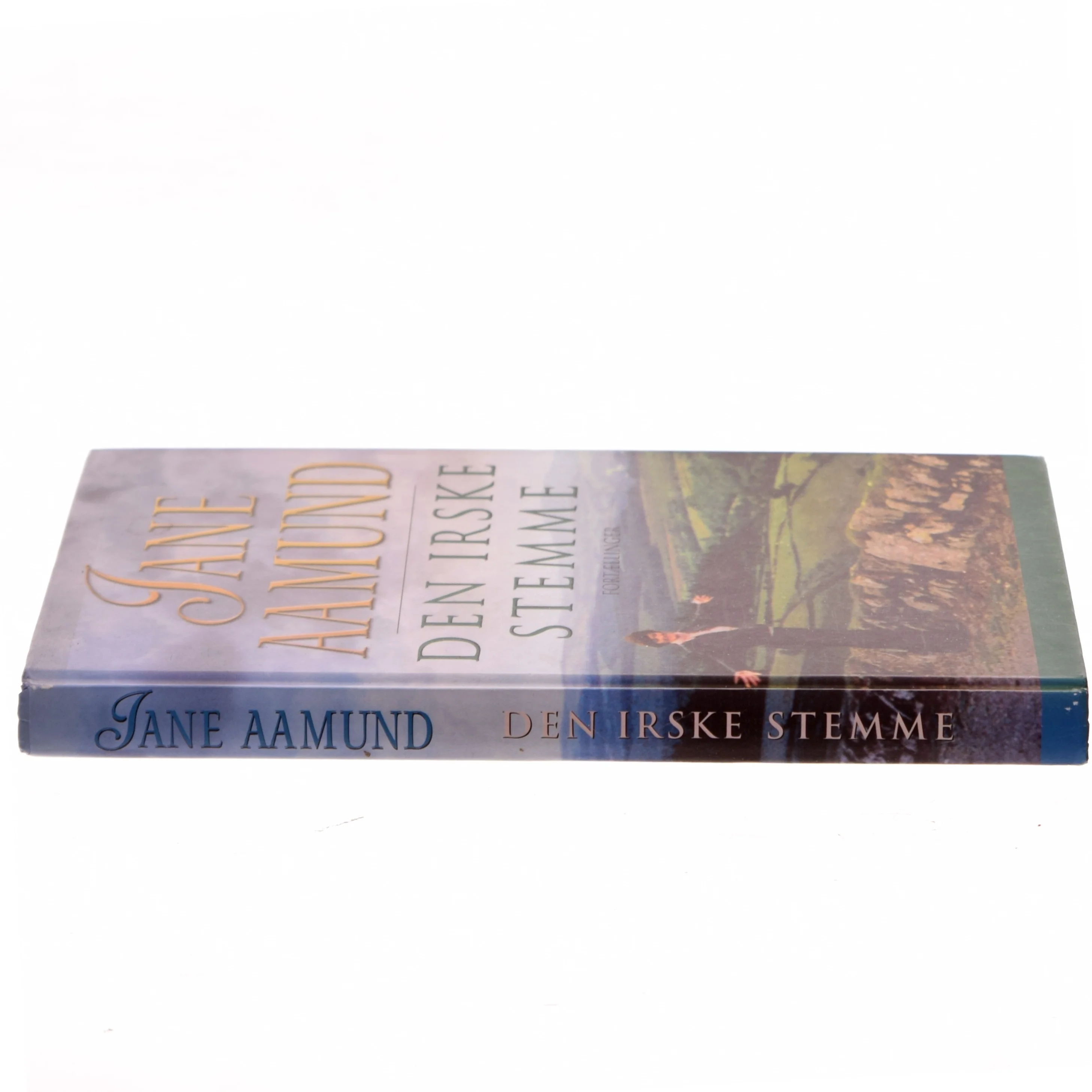 Den irske stemme af Jane Aamund (Bog)