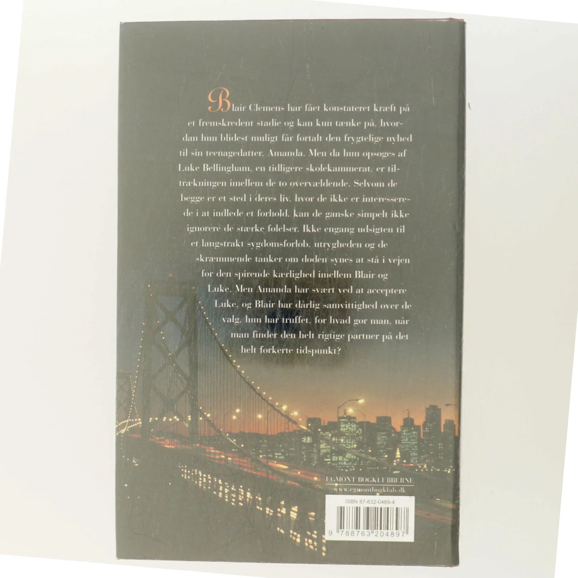 Dagens sidste lys af Ellen Sussman (Bog)