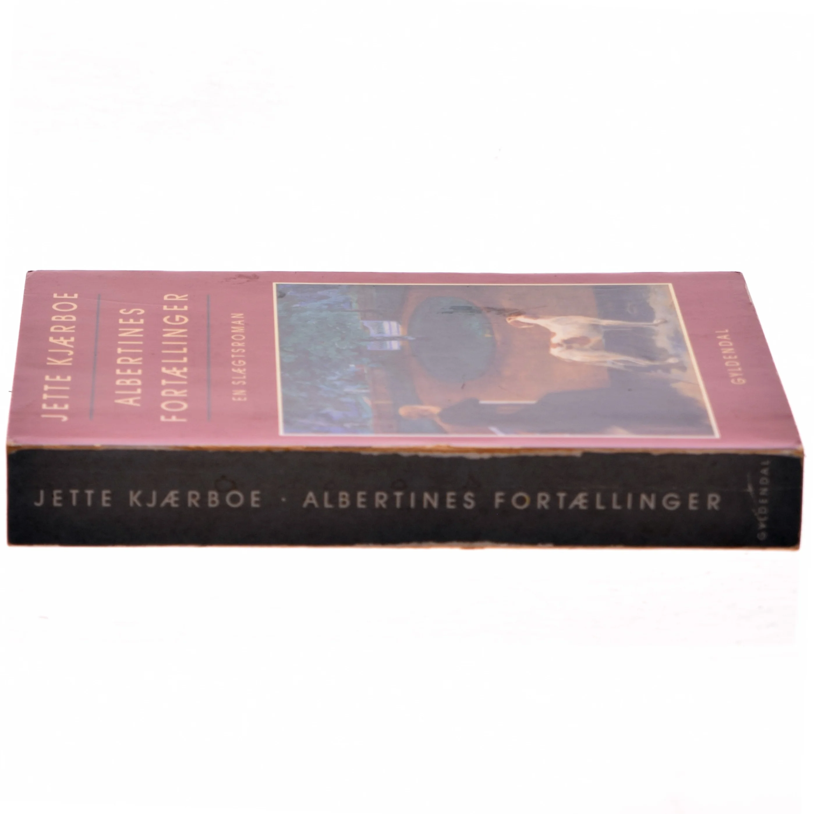 Albertines fortællinger af Jette Kjærboe (Bog)