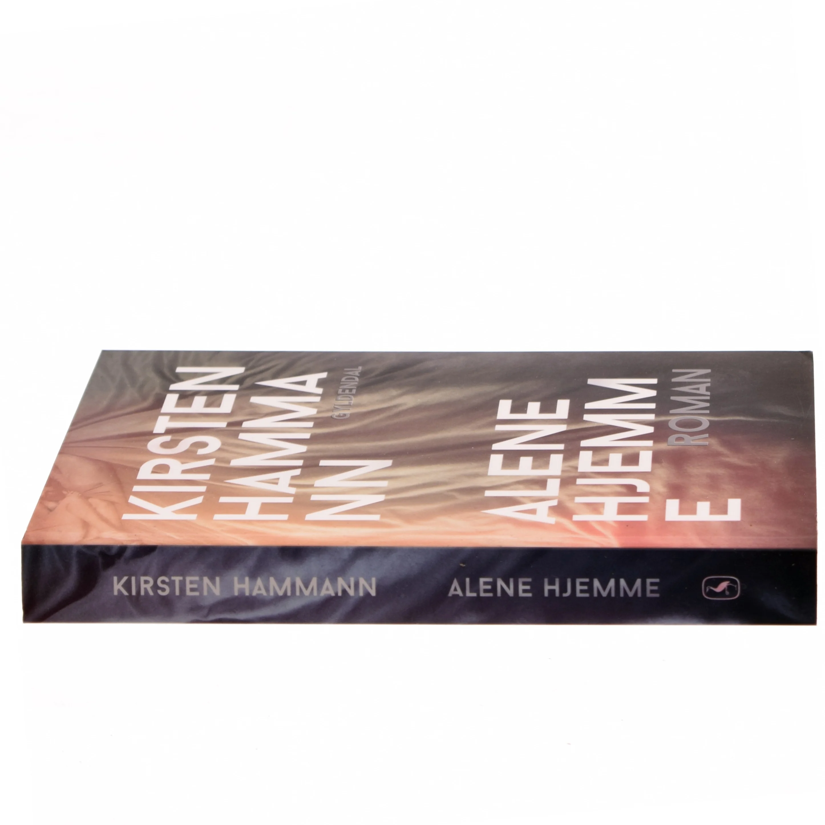 Alene hjemme : roman (Klassesæt) af Kirsten Hammann (Bog)