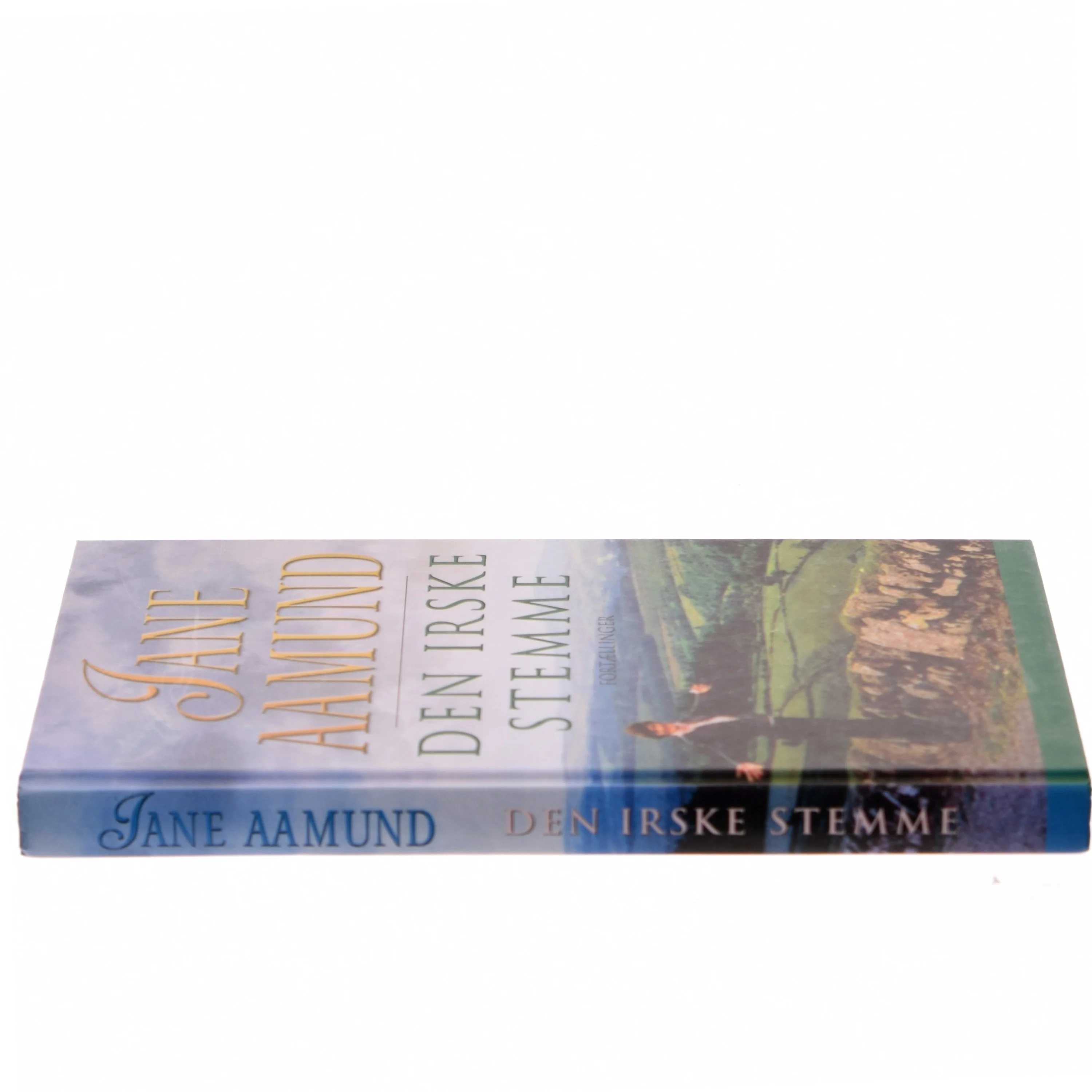 Den irske stemme af Jane Aamund (Bog)