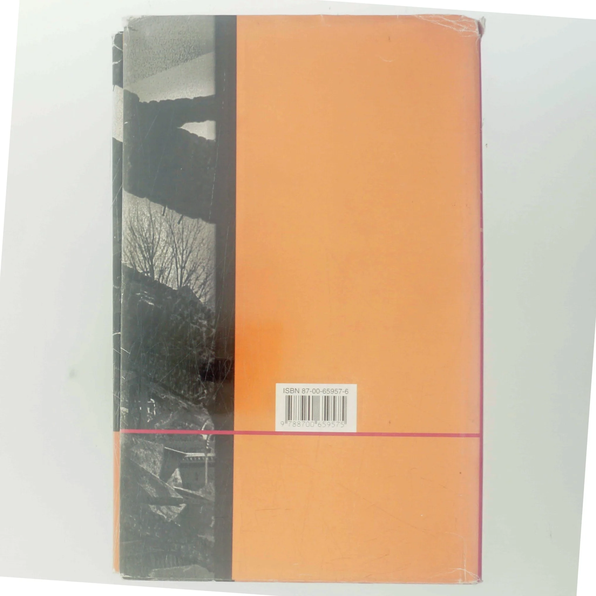 Nedtælling af Liza Marklund (Bog)