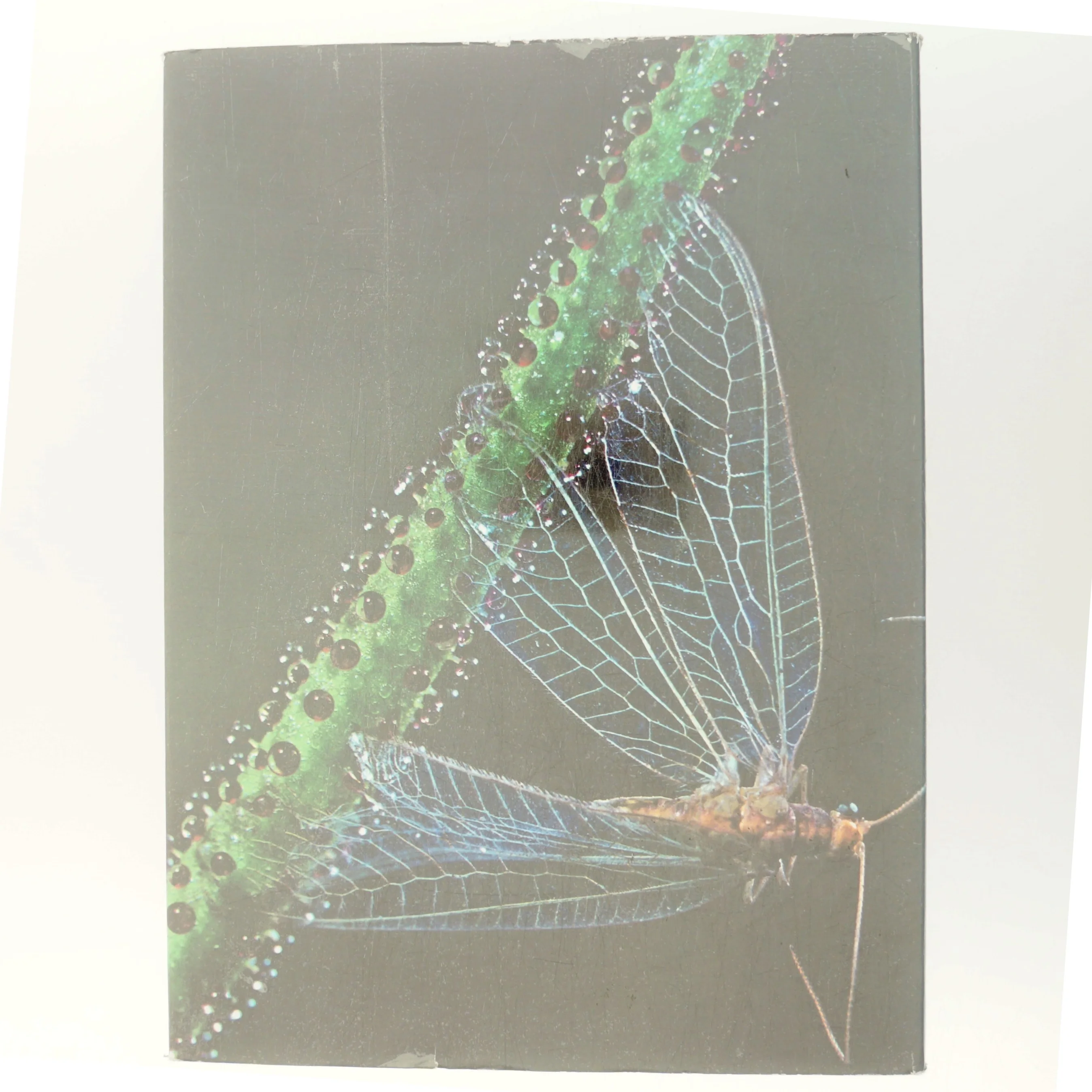 Verdens store mysterier (Bog)