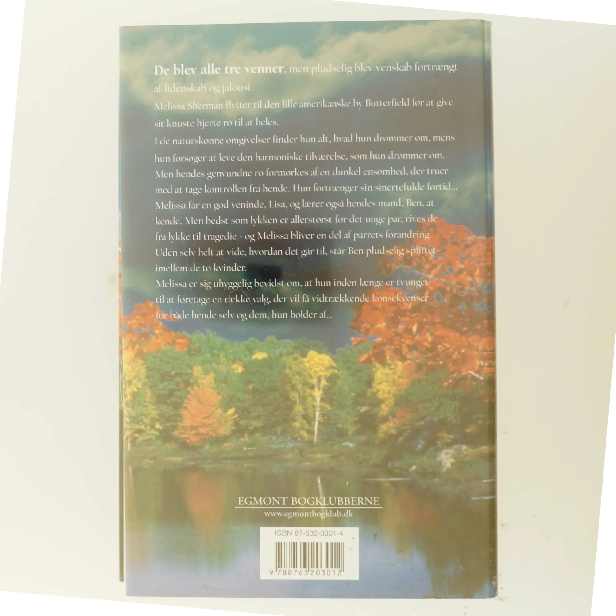 Rør himlen af Susan Madison (Bog)