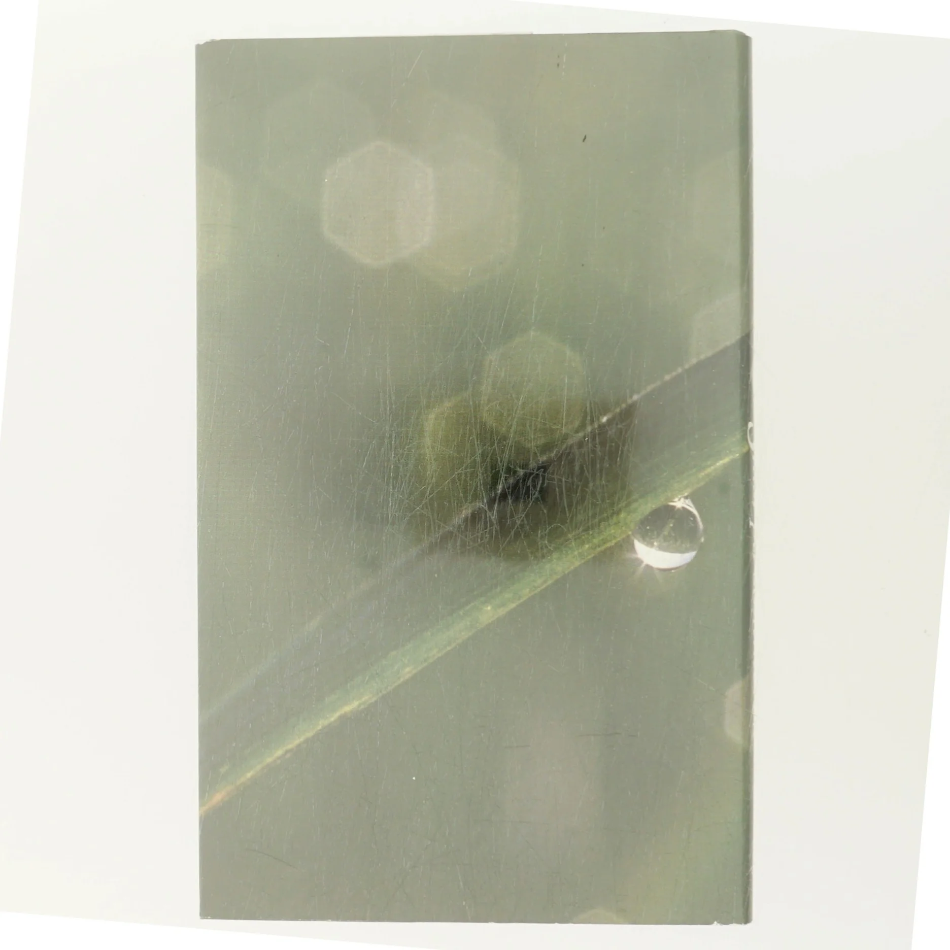 Sidst på sommeren af Rosamunde Pilcher (Bog)