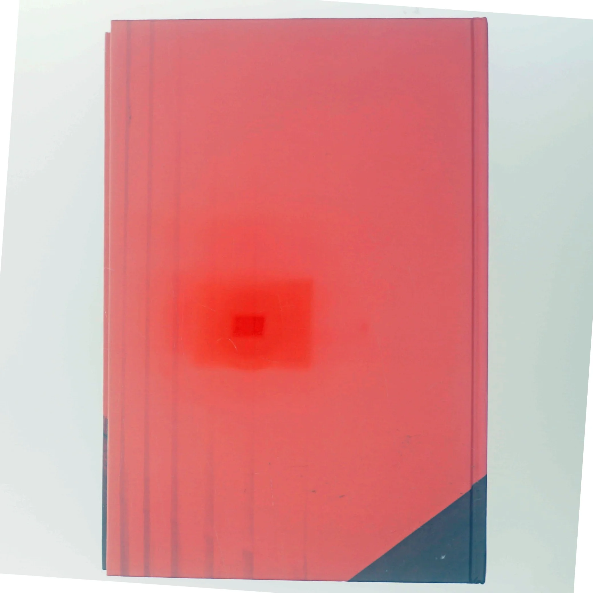 Bog - 'Lasten' af Hanne Bech Hansen