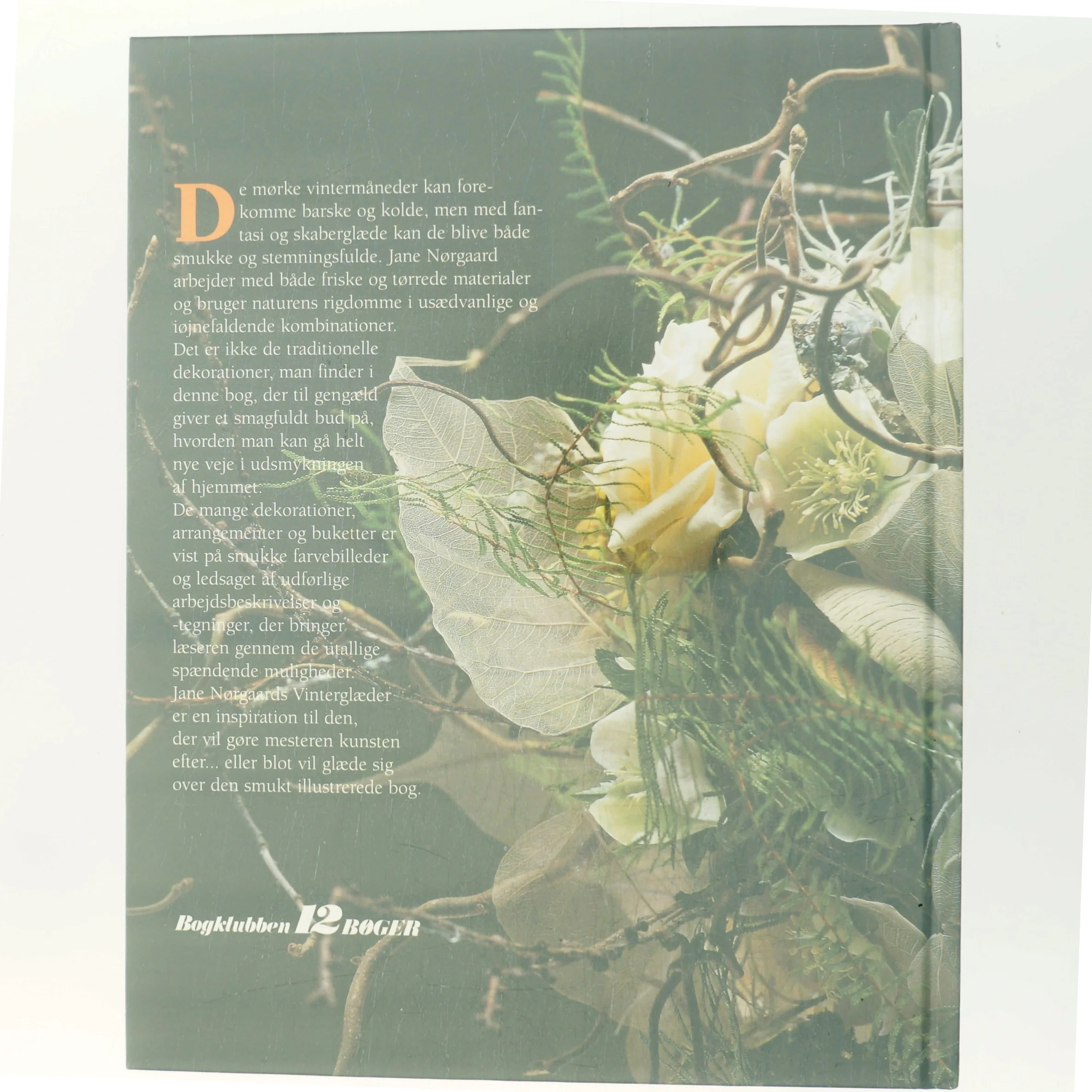 Vinterglæder af Jane Nørgaard (Bog)