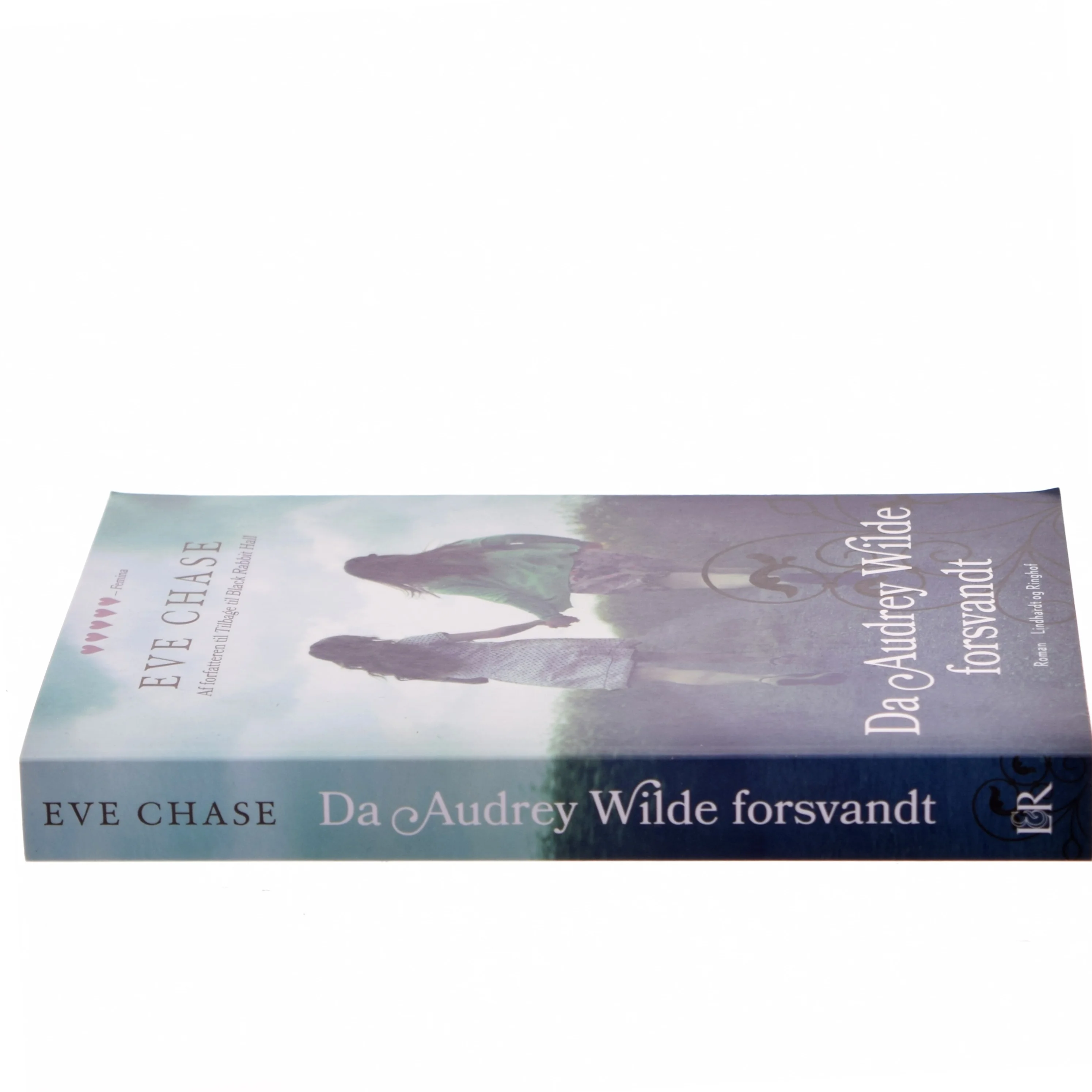 Da Audrey Wilde forsvandt af Eve Chase (Bog)