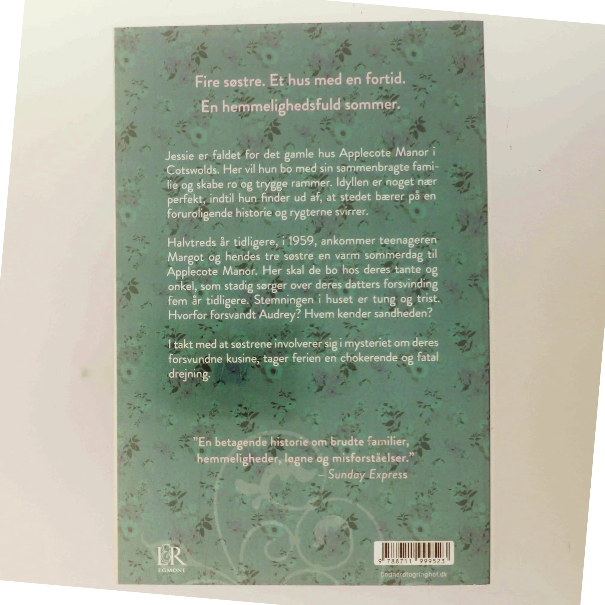 Da Audrey Wilde forsvandt af Eve Chase (Bog)