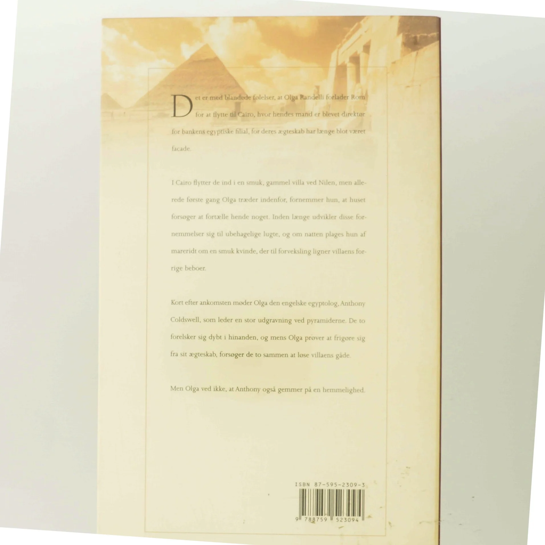 Egyptiske drømme : roman af Gerd Teloni (Bog)