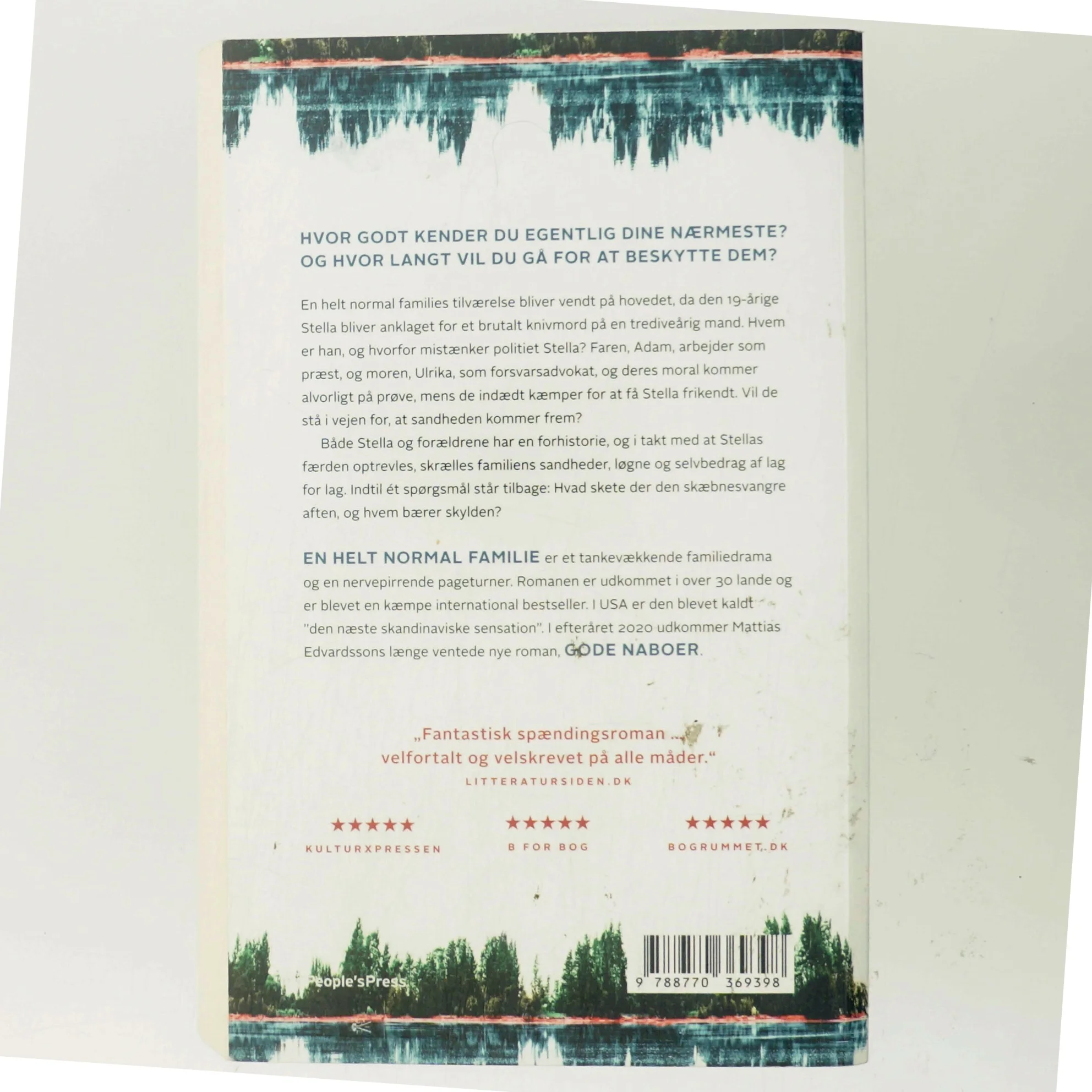 En helt normal familie : en roman om en forbrydelse af Mattias Edvardsson (f. 1977) (Bog)