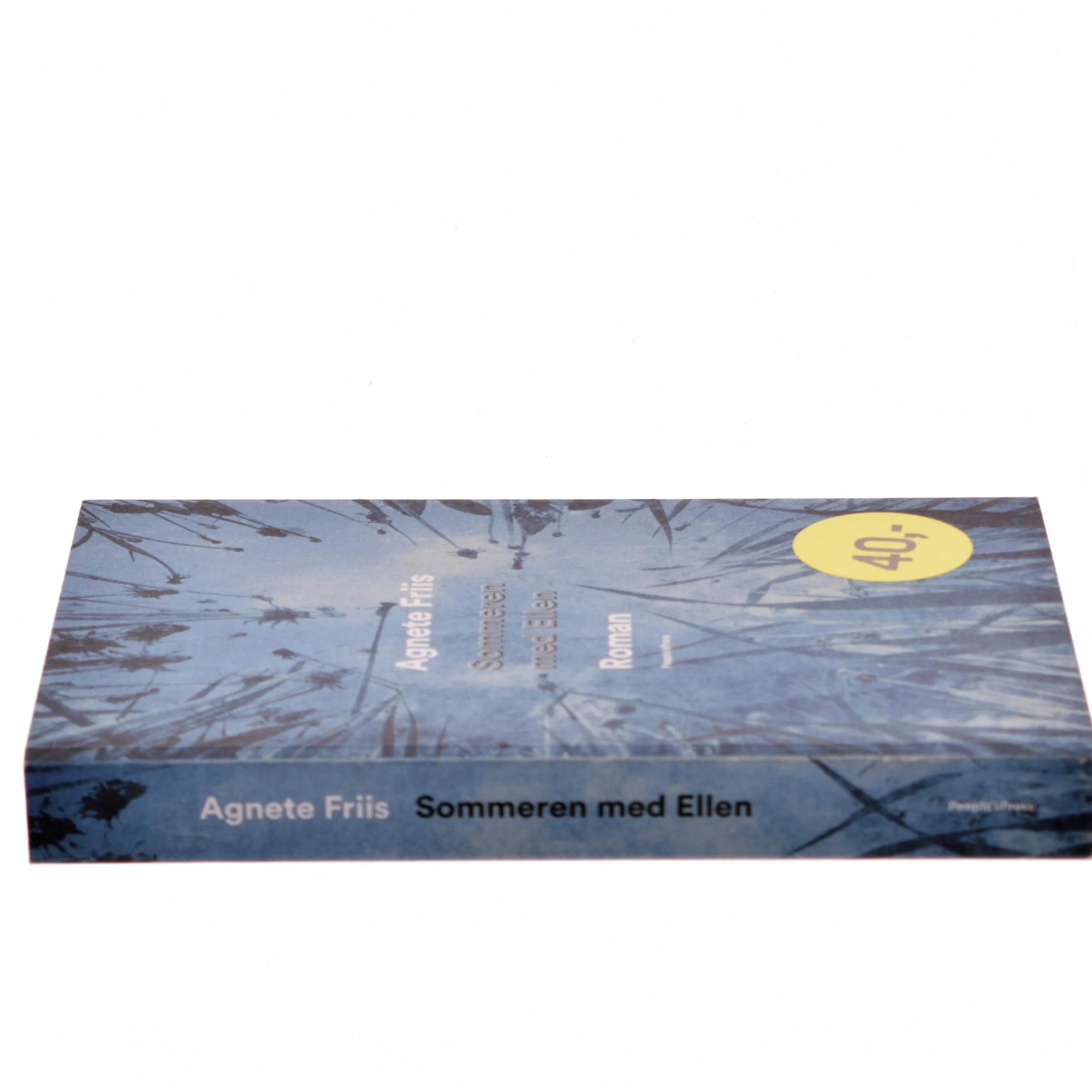 Sommeren med Ellen : roman af Agnete Friis (Bog)