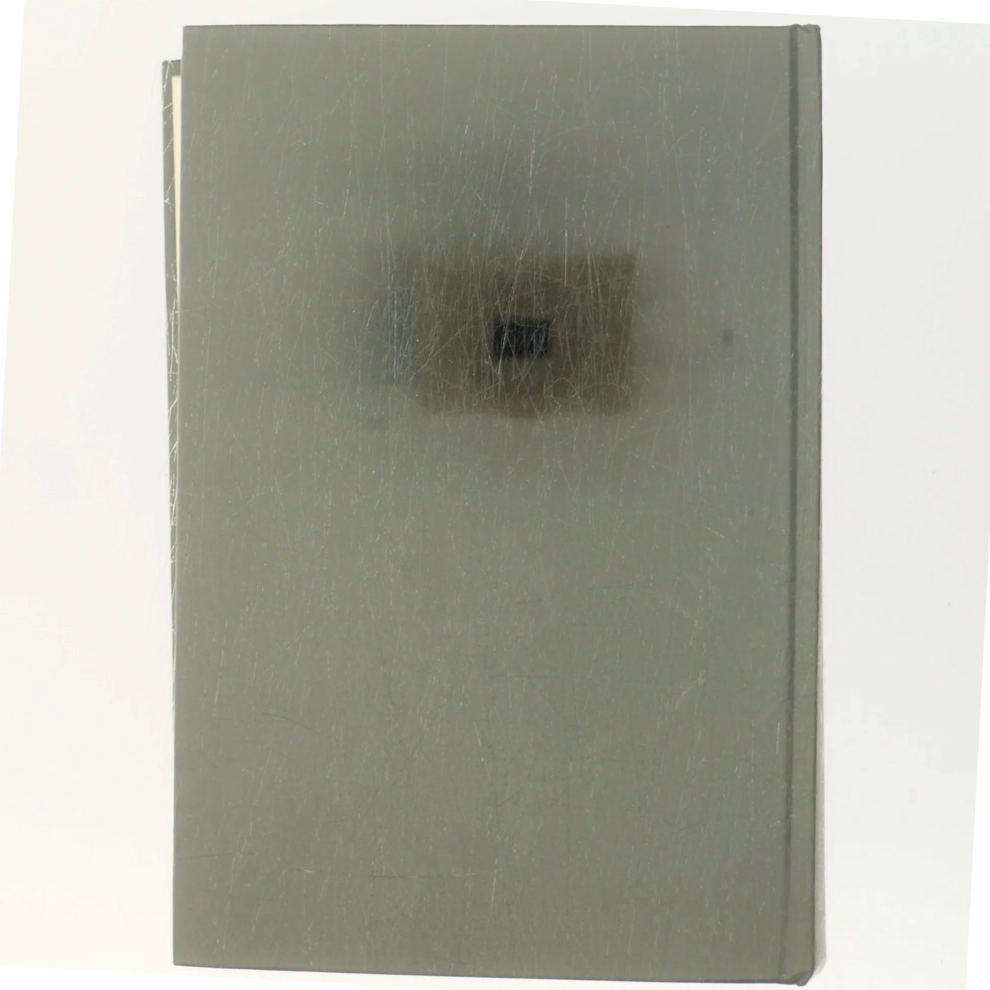 Musik og Stilhed af Rose Tremain (Bog)