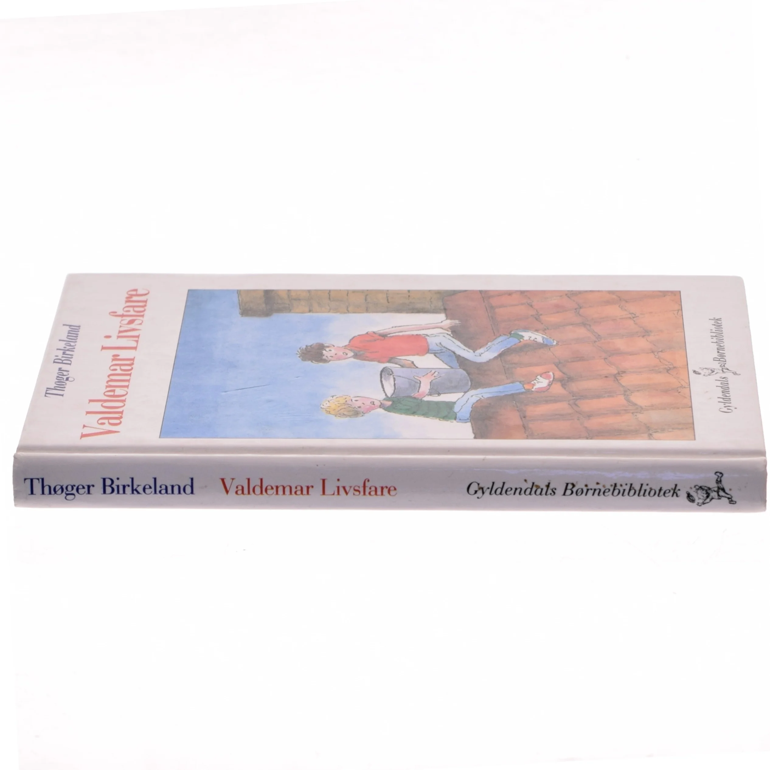 Valdemar Livsfare af Thøger Birkeland (Bog)