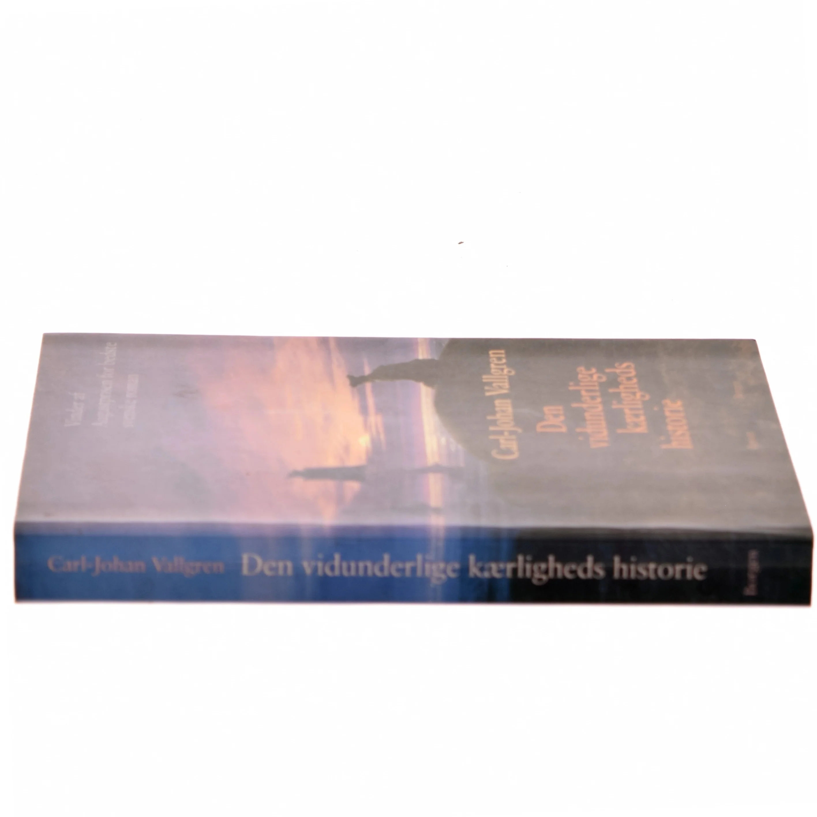 Den vidunderlige kærligheds historie : roman af Carl-Johan Vallgren (Bog)
