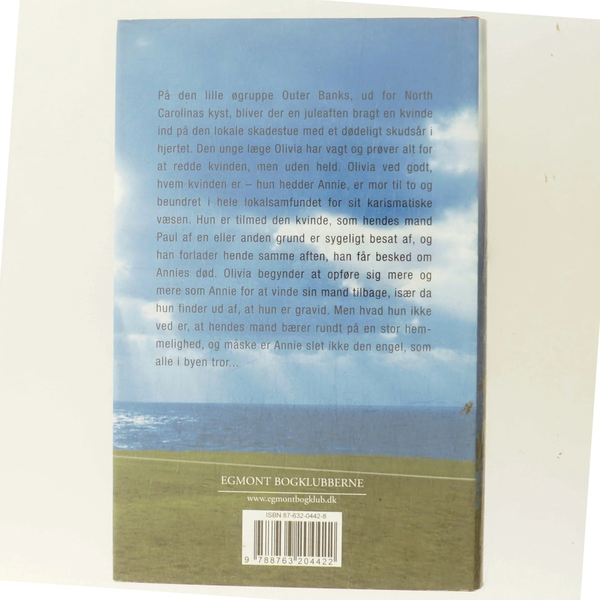 Sandhedens smerte af Diane Chamberlain (Bog)