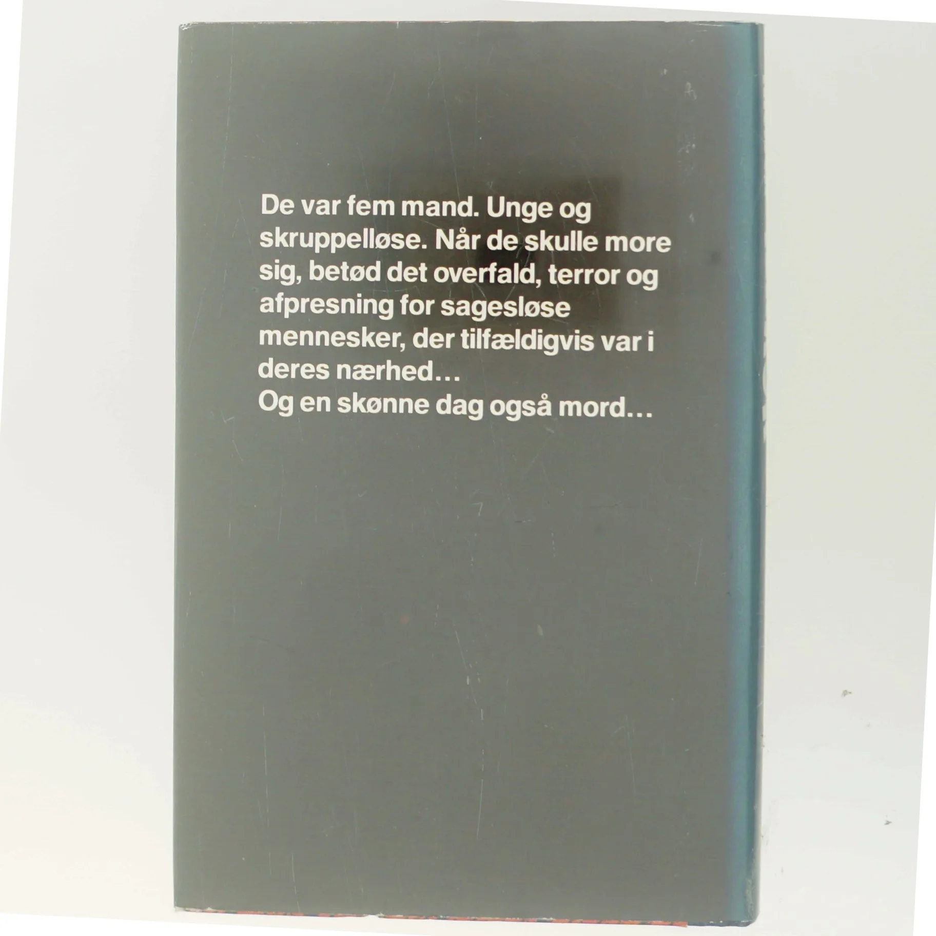 Terror af Torben Nielsen (Bog)