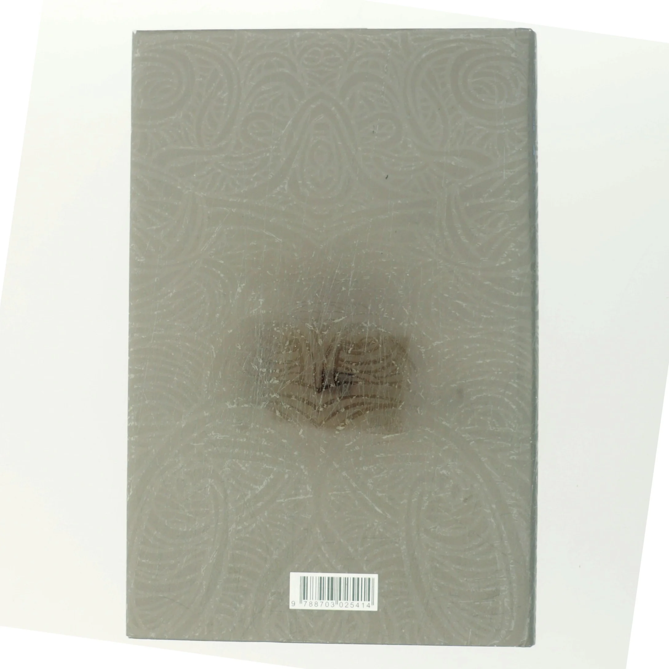 Et spind af løgne af John Hart (f. 1965) (Bog)